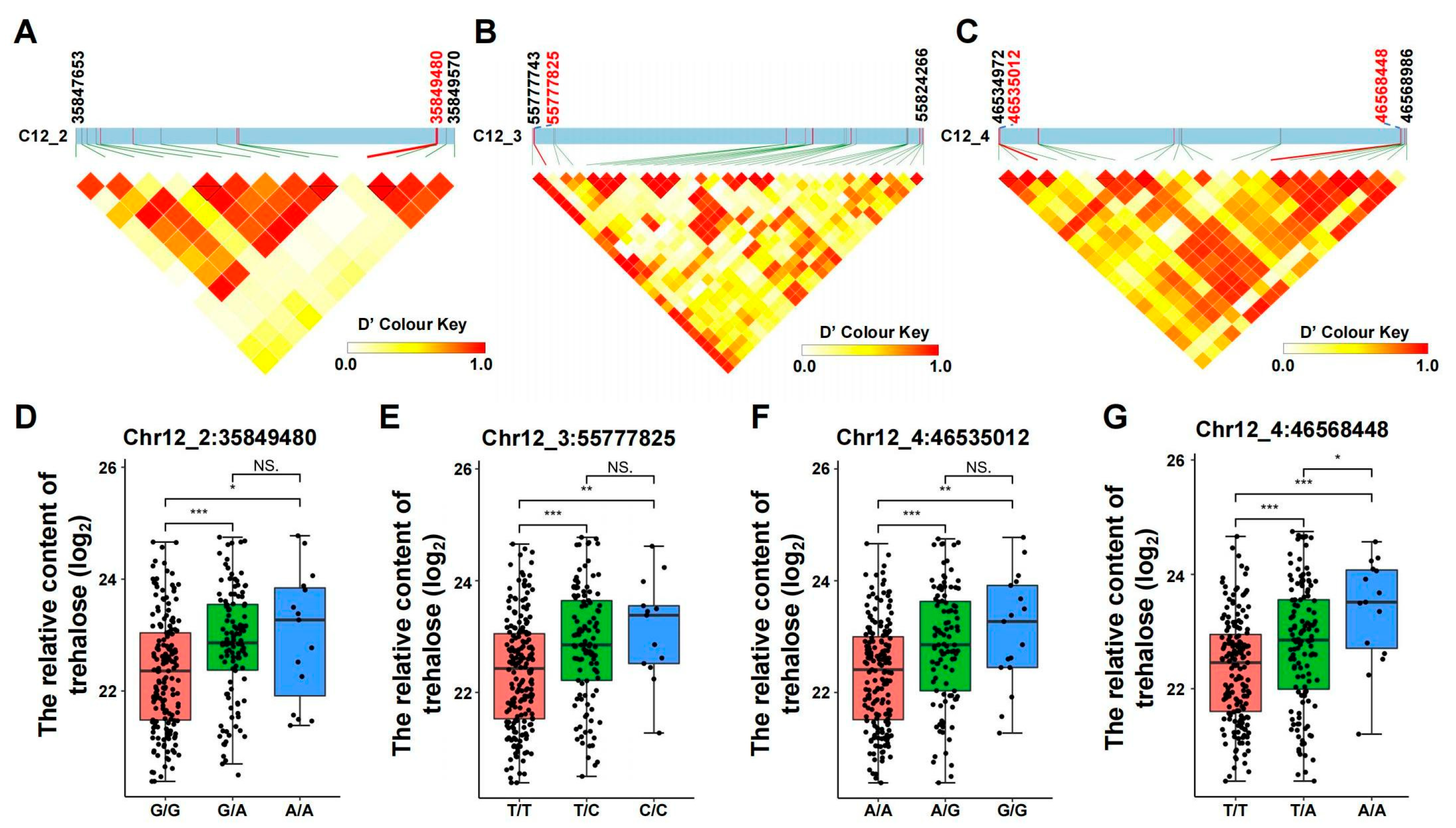 Horticulturae 11 01033 g003 Horticulturae 11 01033 g003