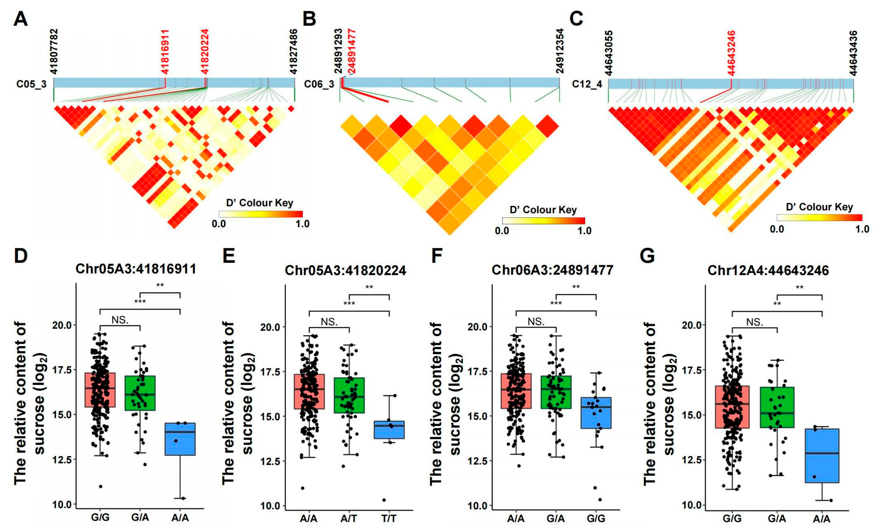 Horticulturae 11 01033 g004 Horticulturae 11 01033 g004