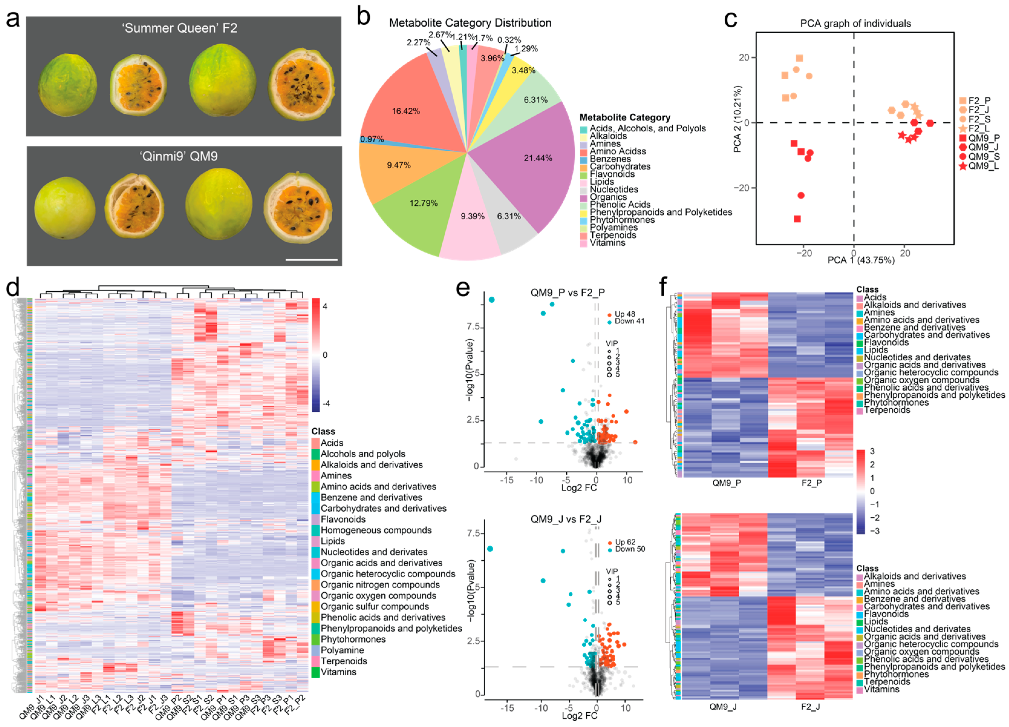 Horticulturae 11 01037 g002 Horticulturae 11 01037 g002