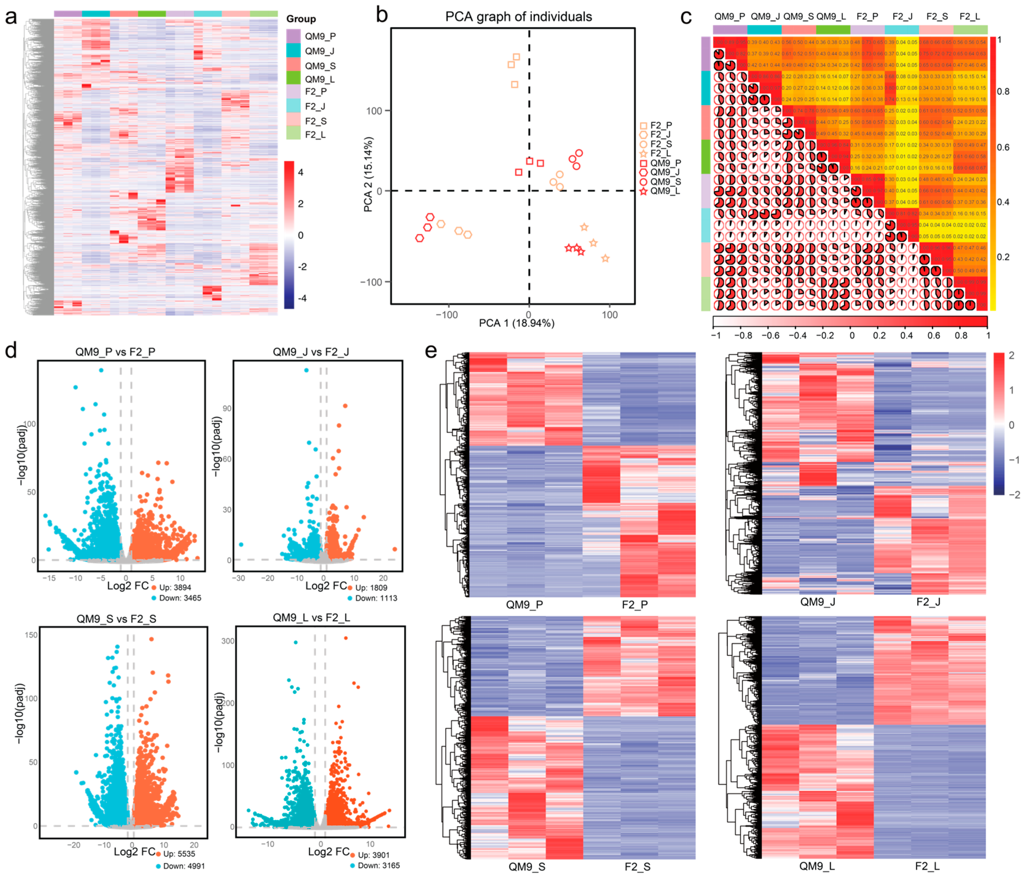 Horticulturae 11 01037 g004 Horticulturae 11 01037 g004