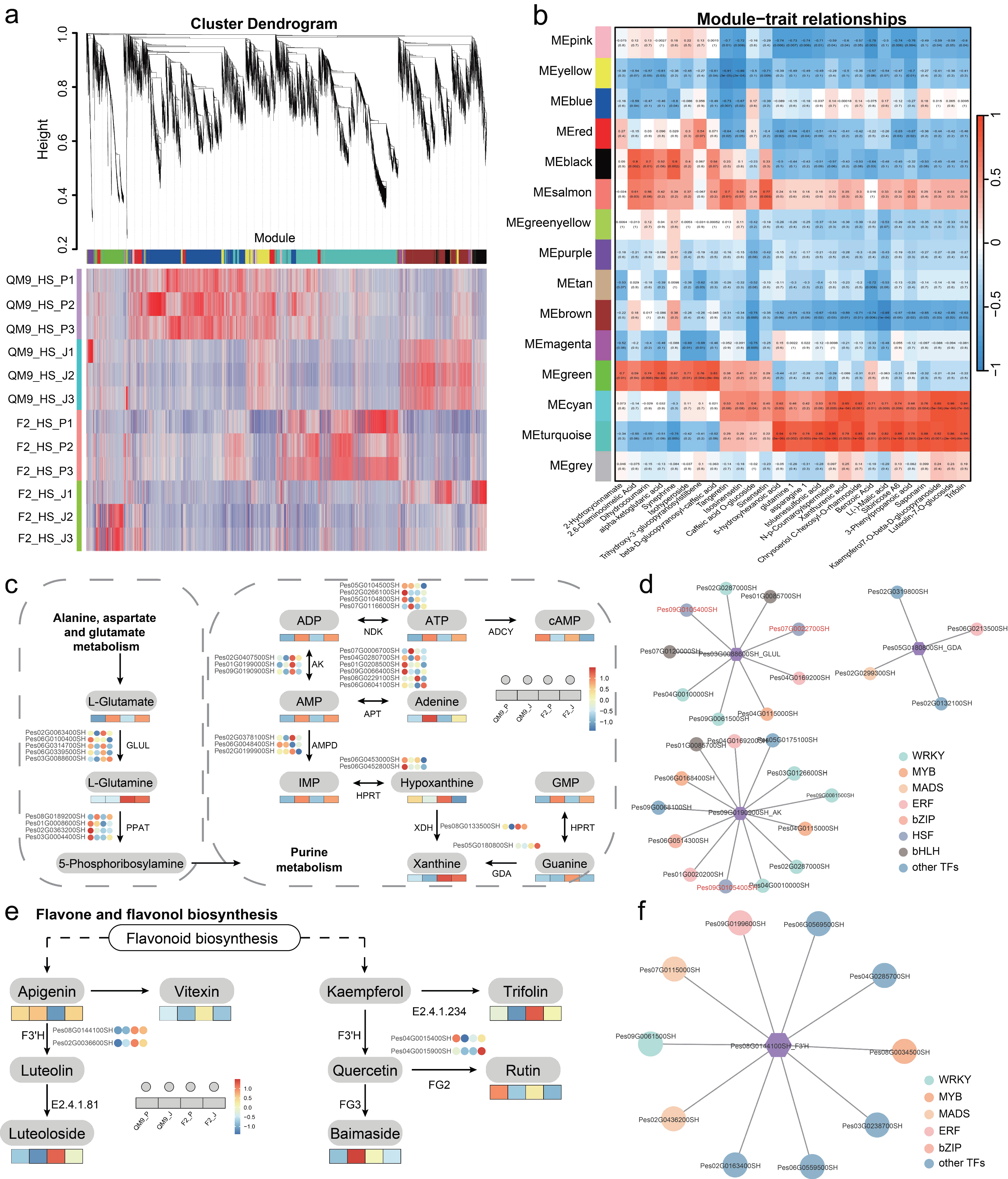 Horticulturae 11 01037 g005 Horticulturae 11 01037 g005