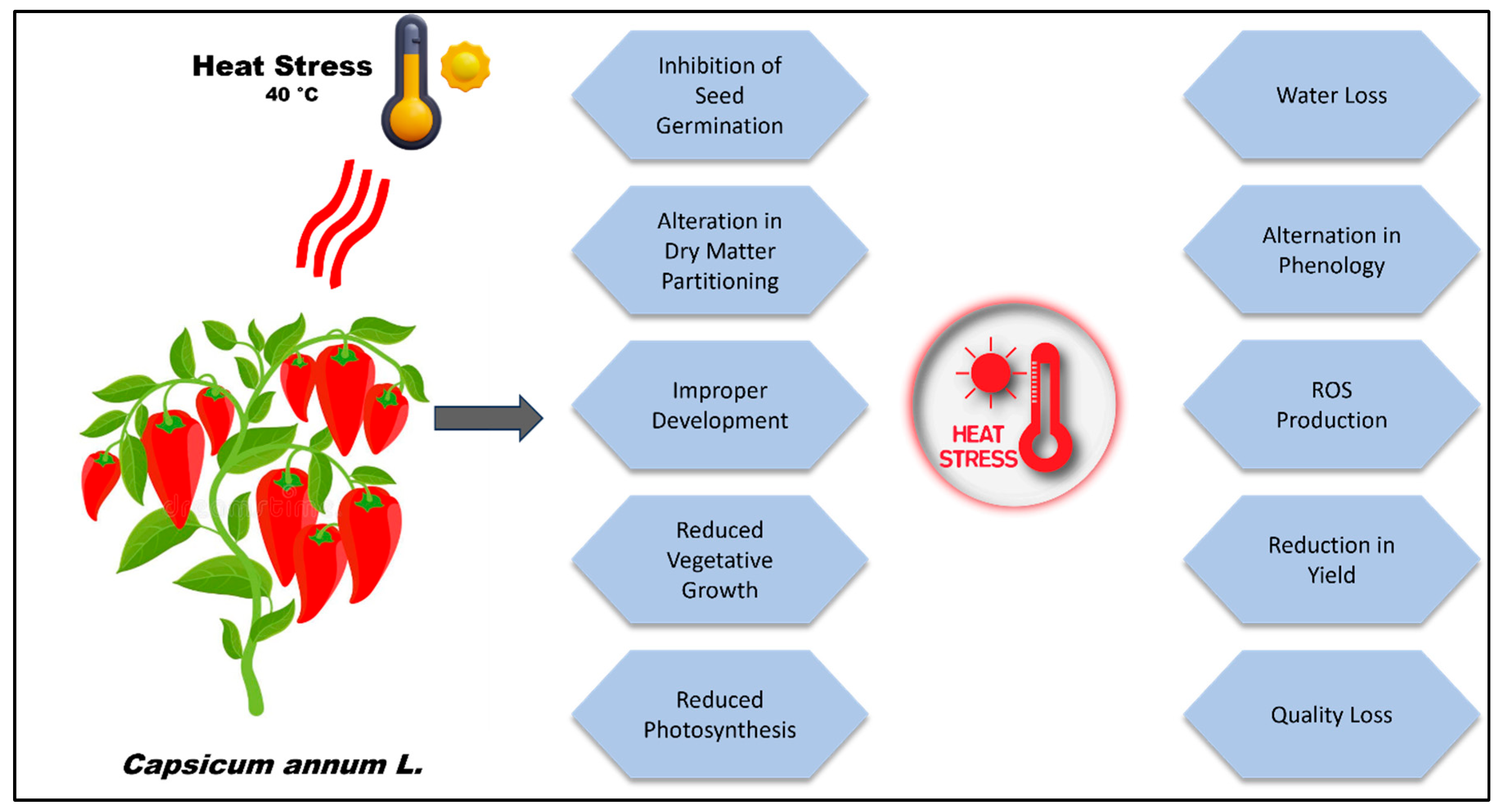 Horticulturae 11 01038 g001
