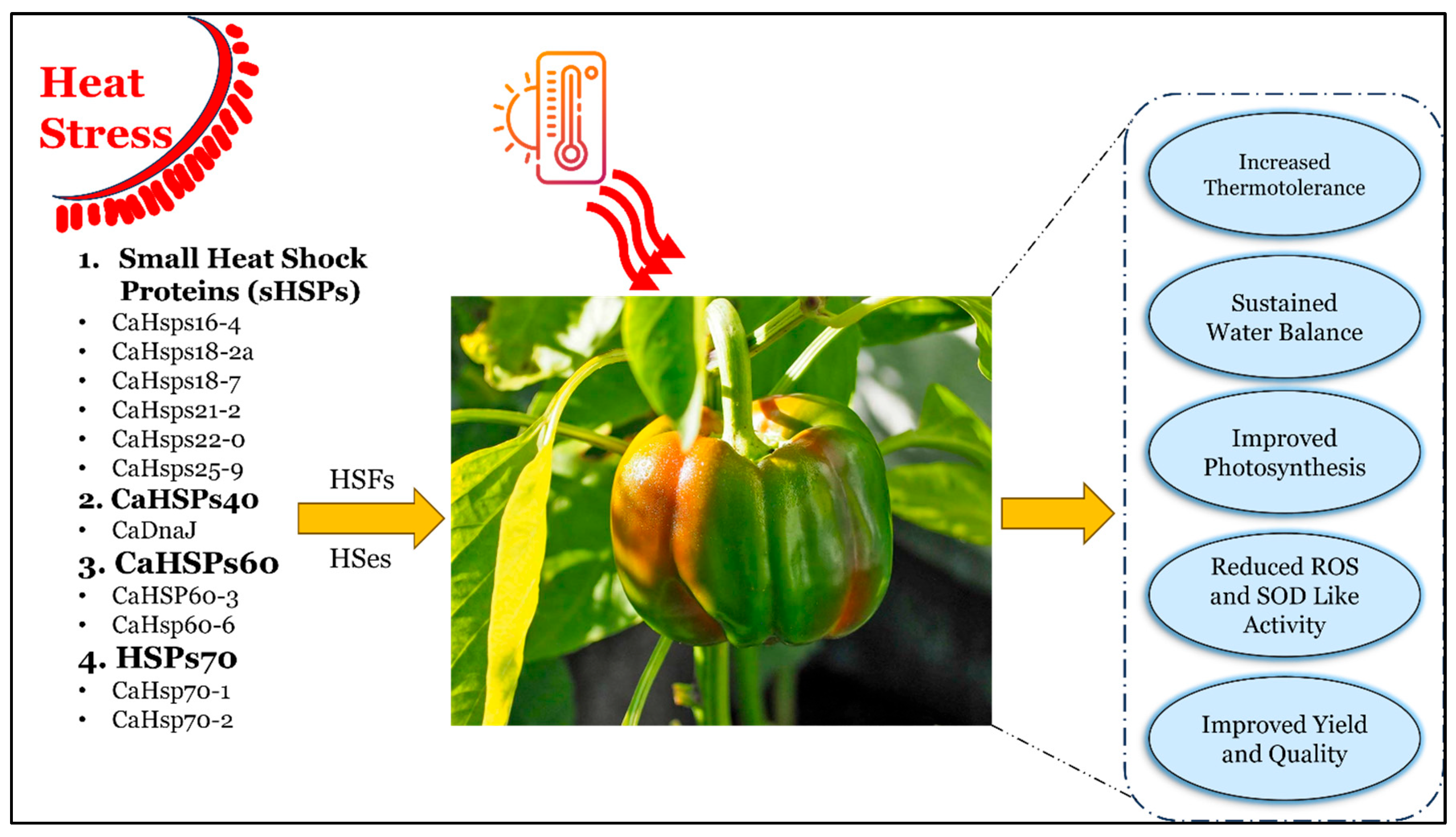 Horticulturae 11 01038 g003