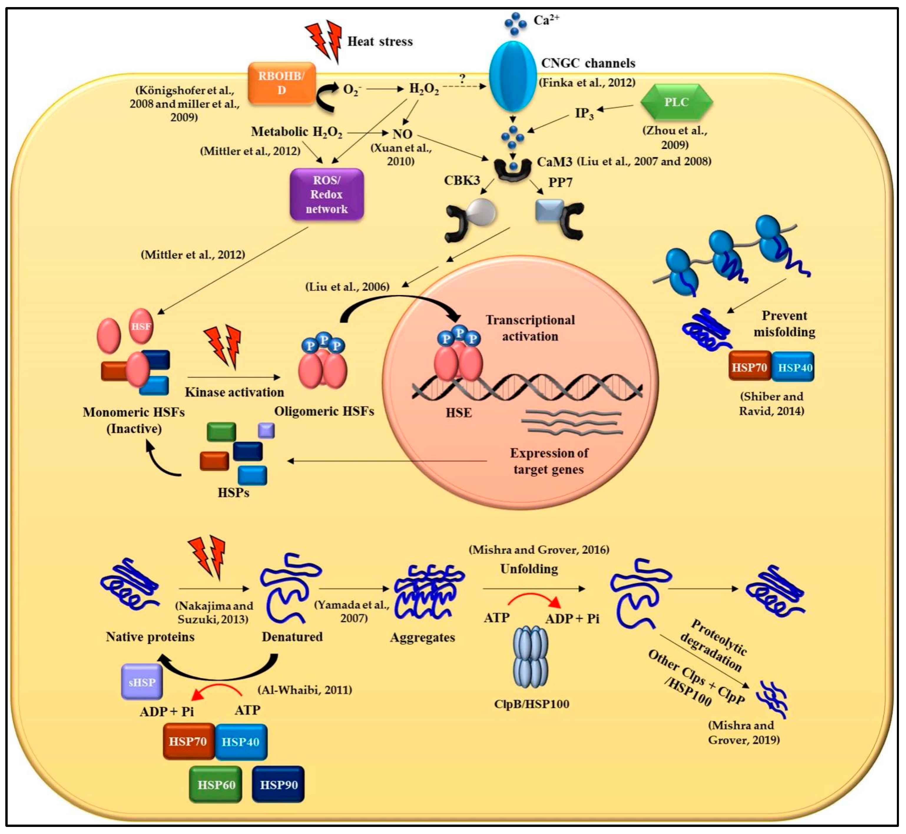 Horticulturae 11 01038 g005