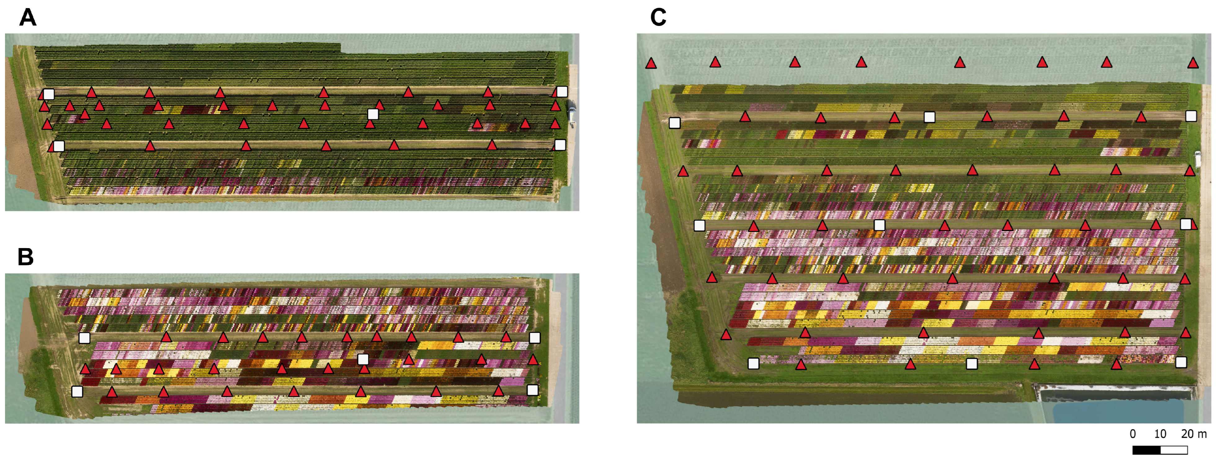 Horticulturae 11 01043 g003