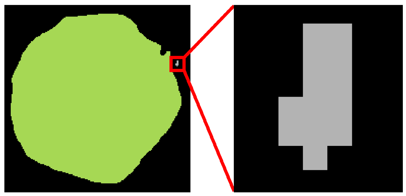 Horticulturae 11 01043 g005