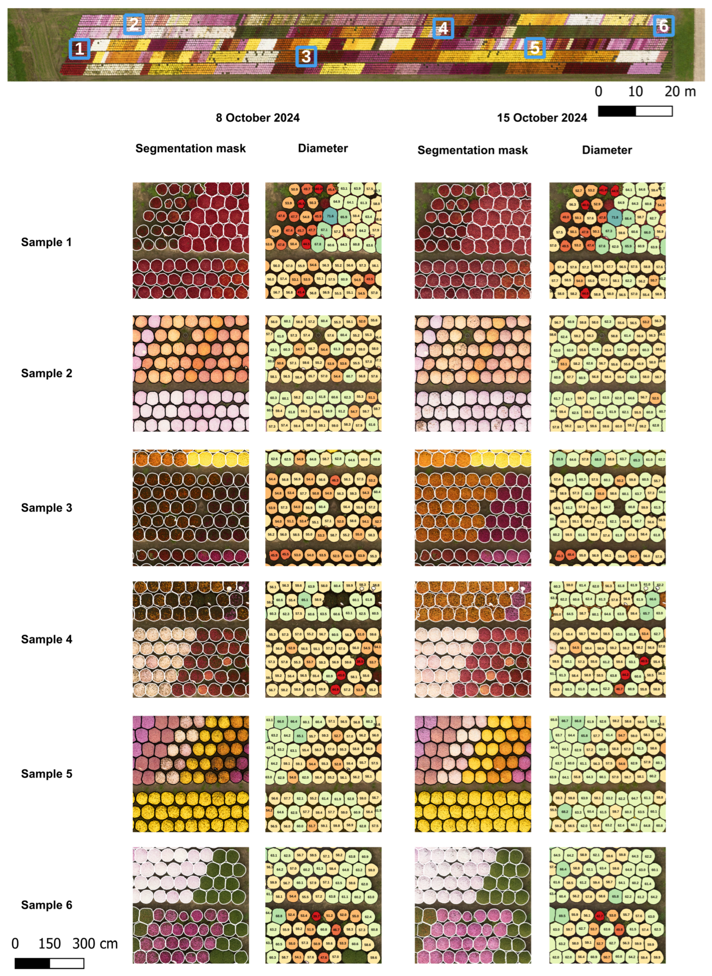 Horticulturae 11 01043 g007