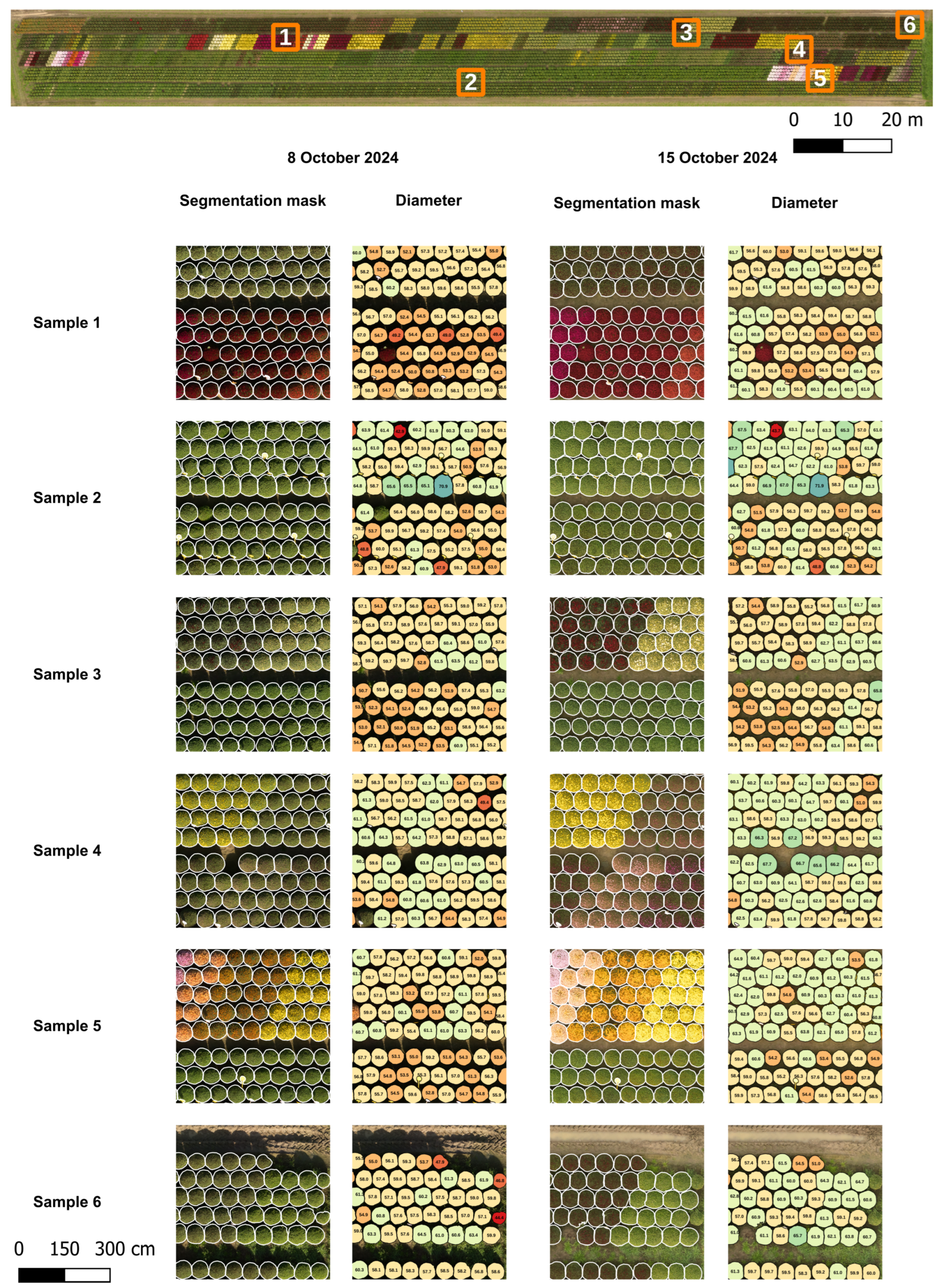 Horticulturae 11 01043 g0a3