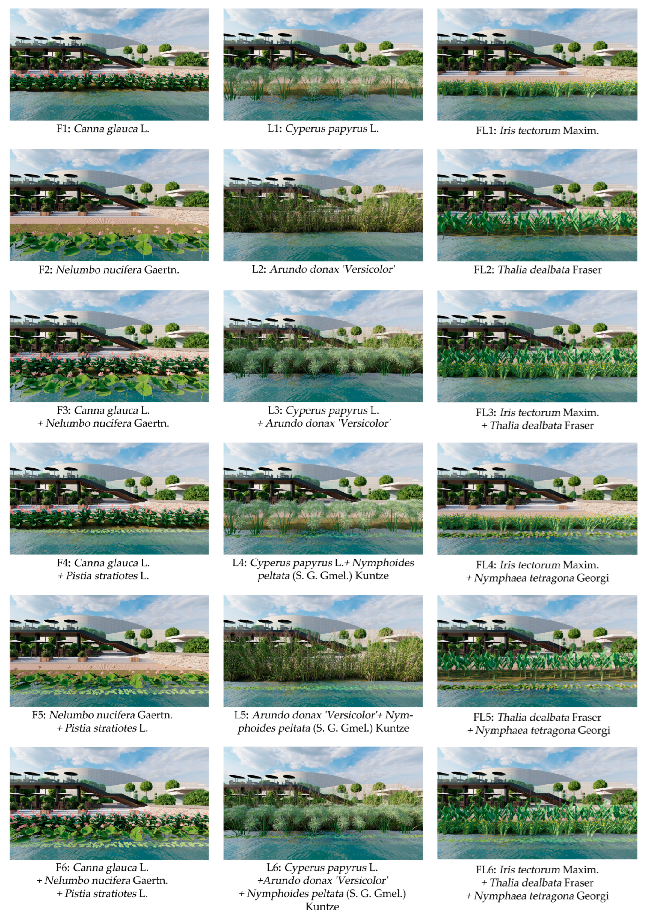 Horticulturae 11 01044 g003