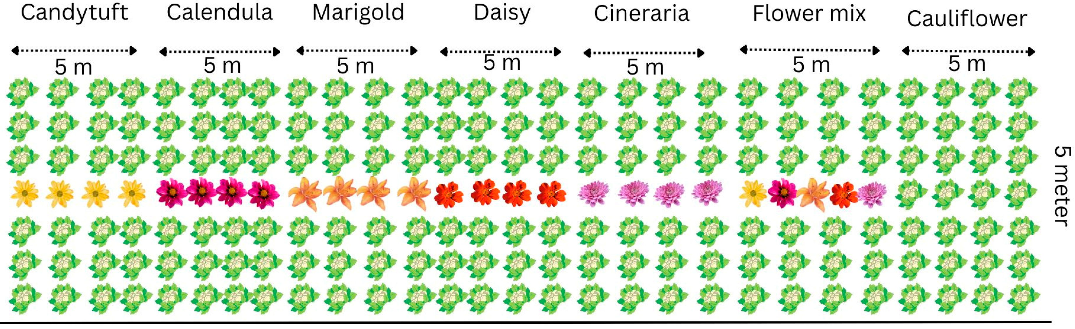 Horticulturae 11 01045 g001