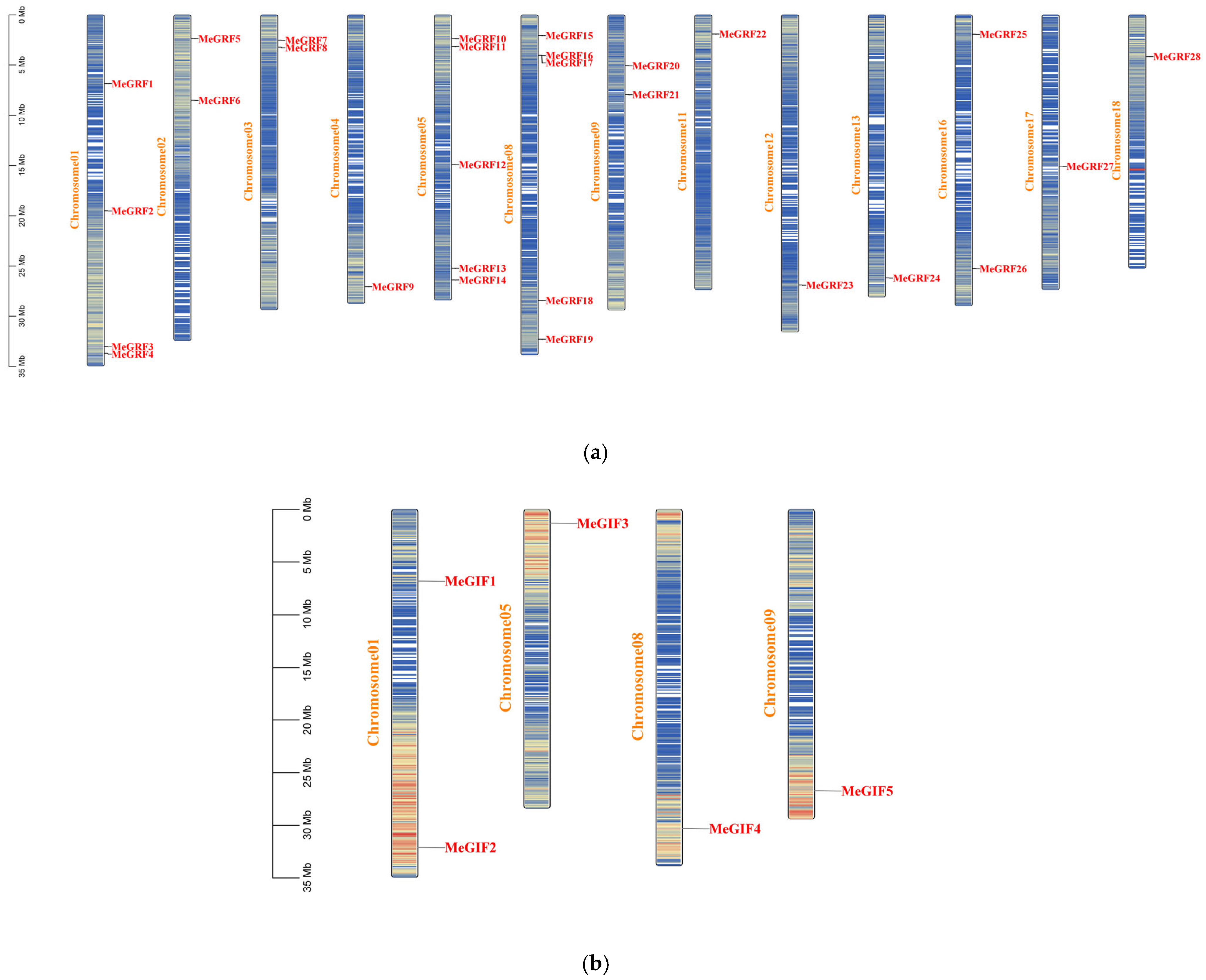 Horticulturae 11 01046 g001