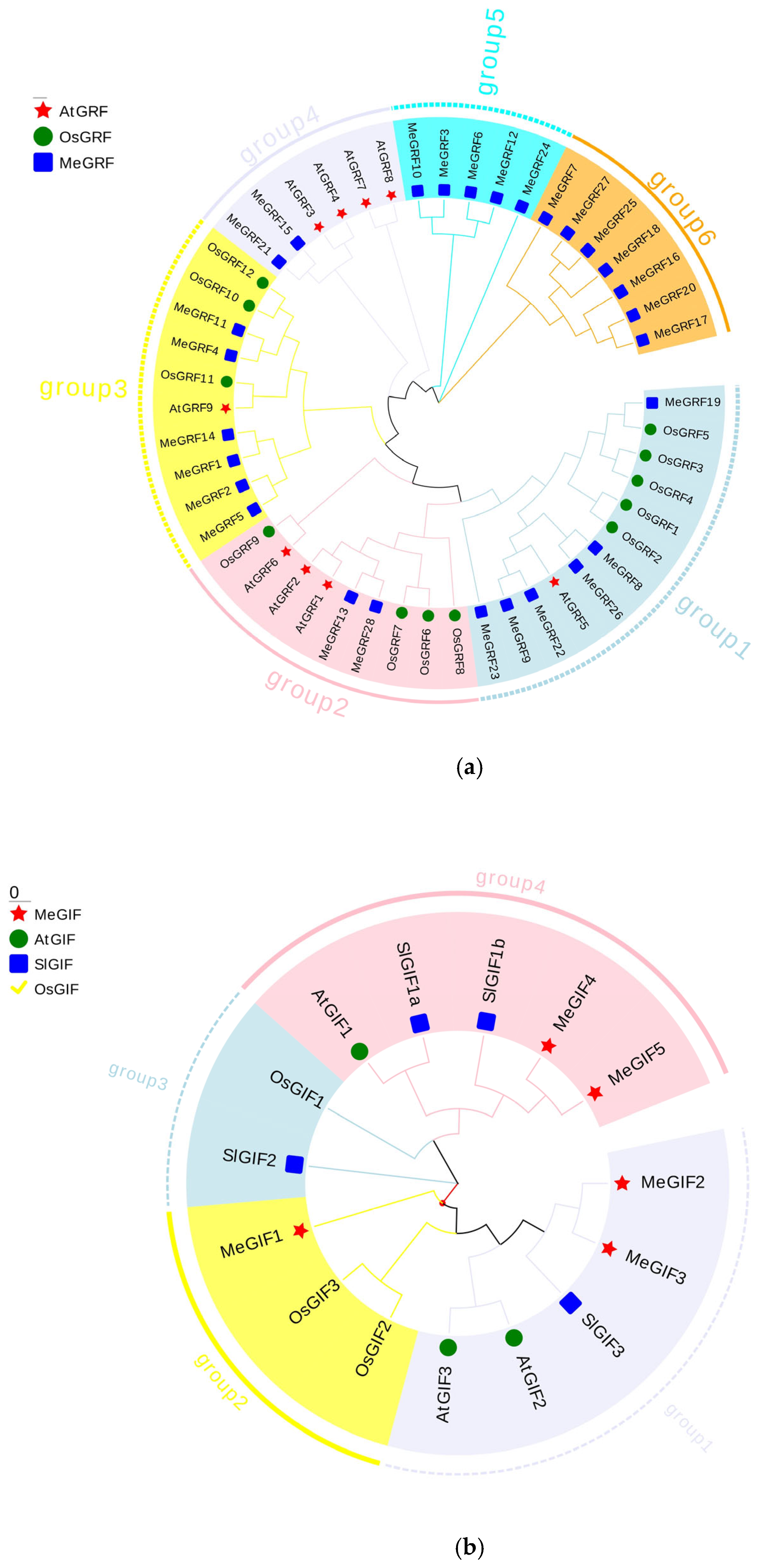 Horticulturae 11 01046 g002