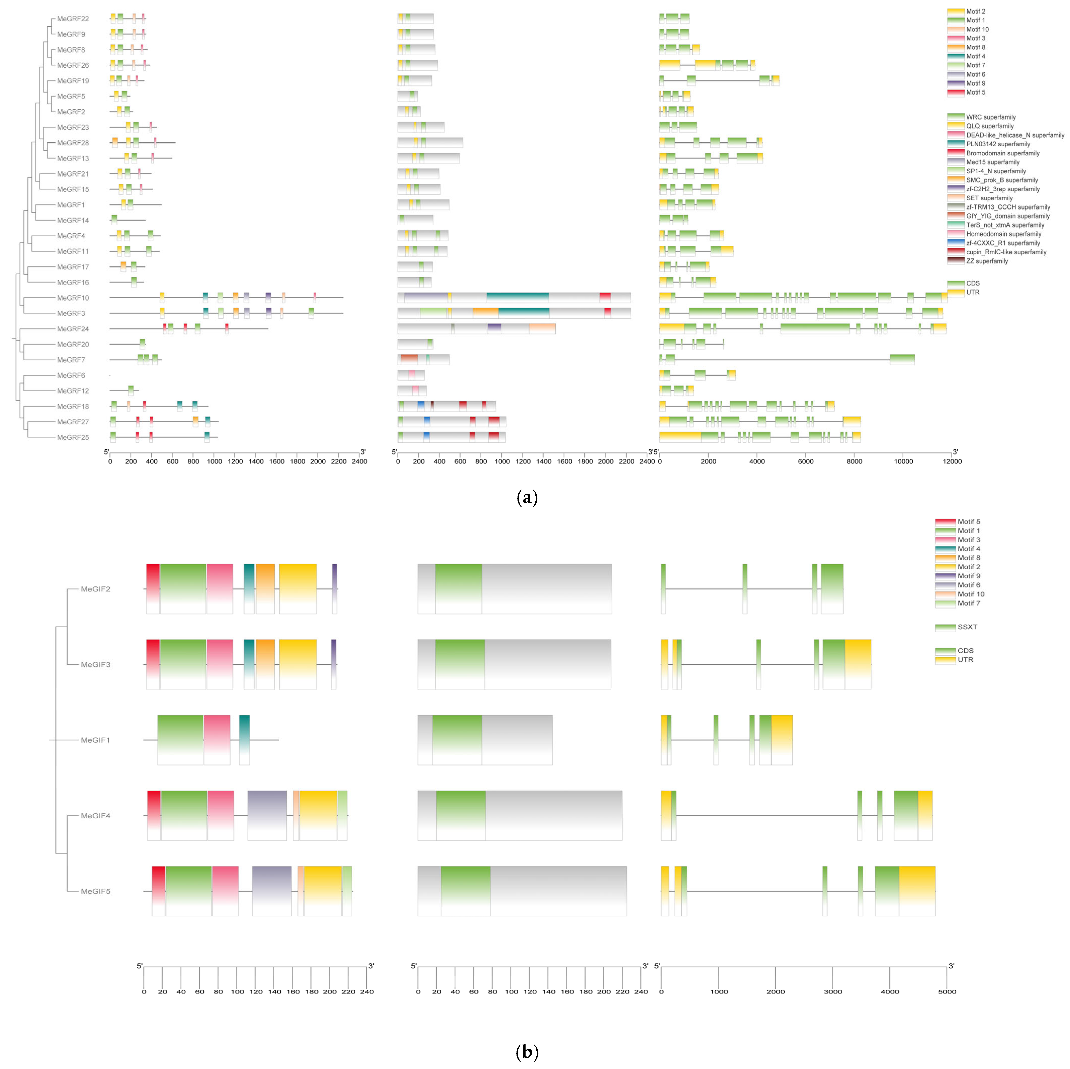 Horticulturae 11 01046 g003