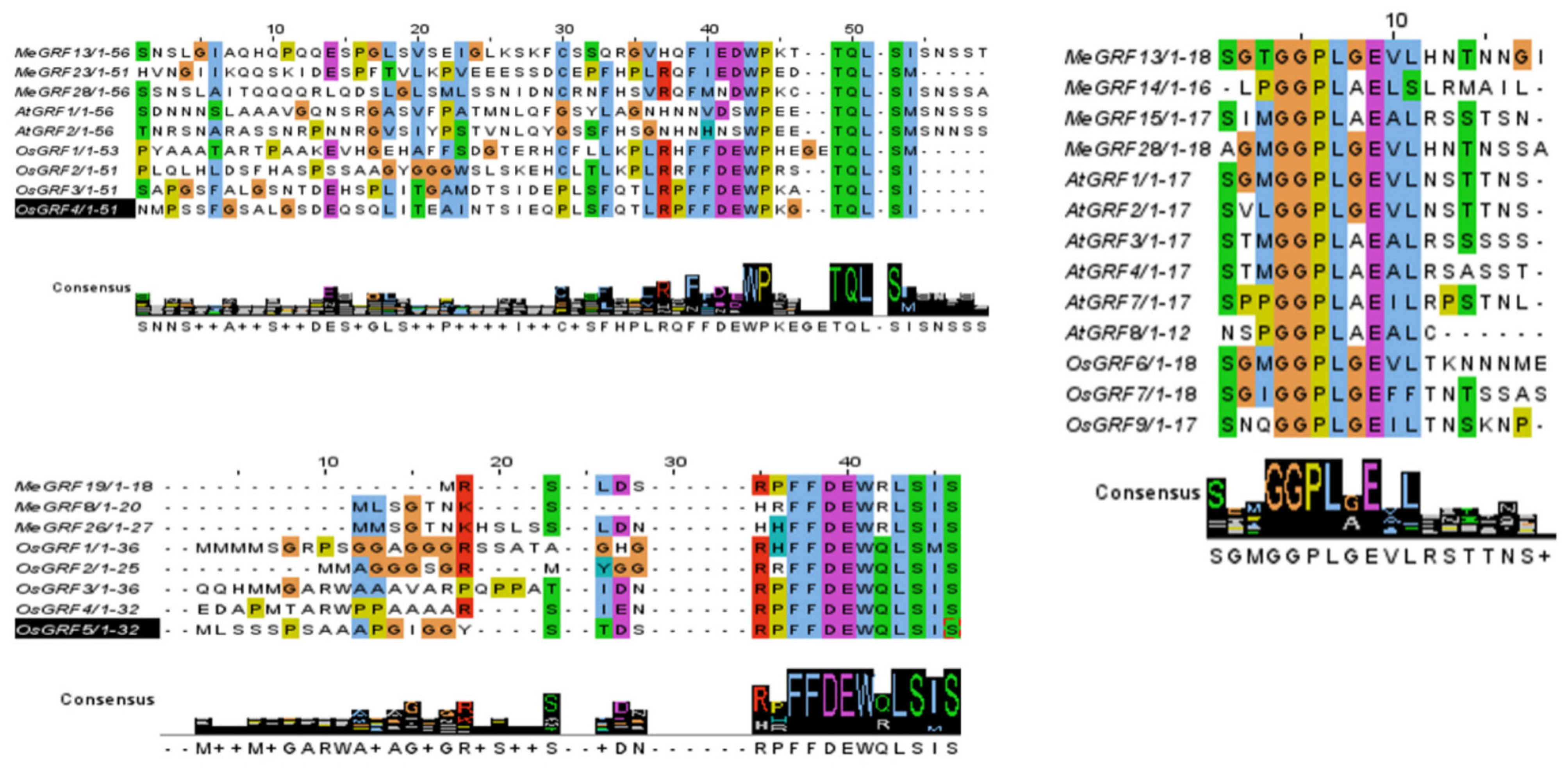 Horticulturae 11 01046 g004