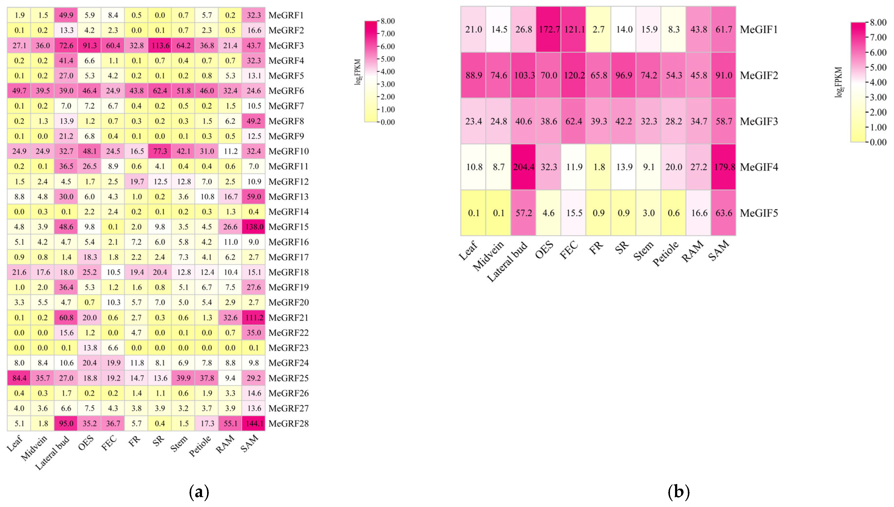Horticulturae 11 01046 g007