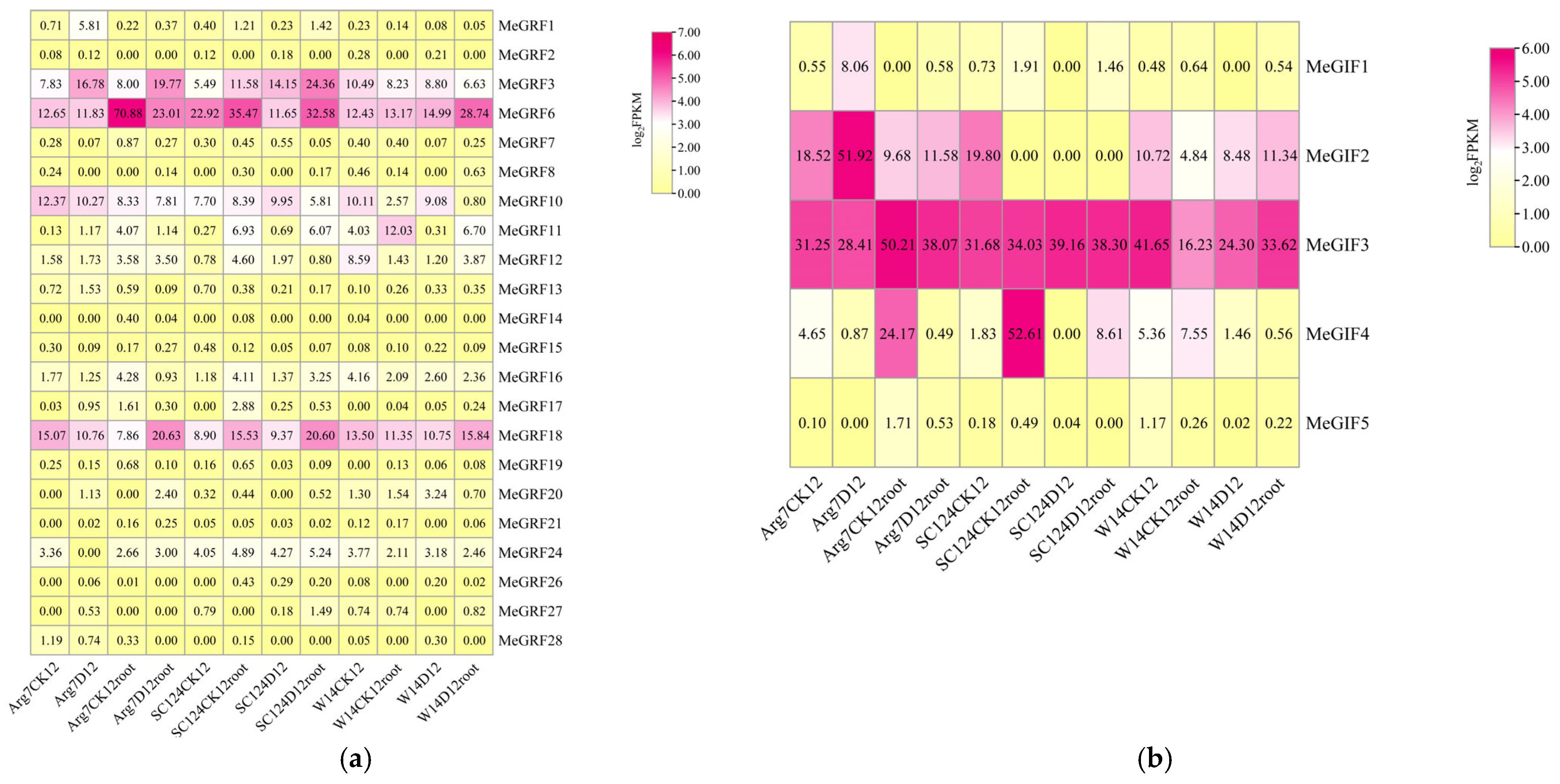 Horticulturae 11 01046 g009