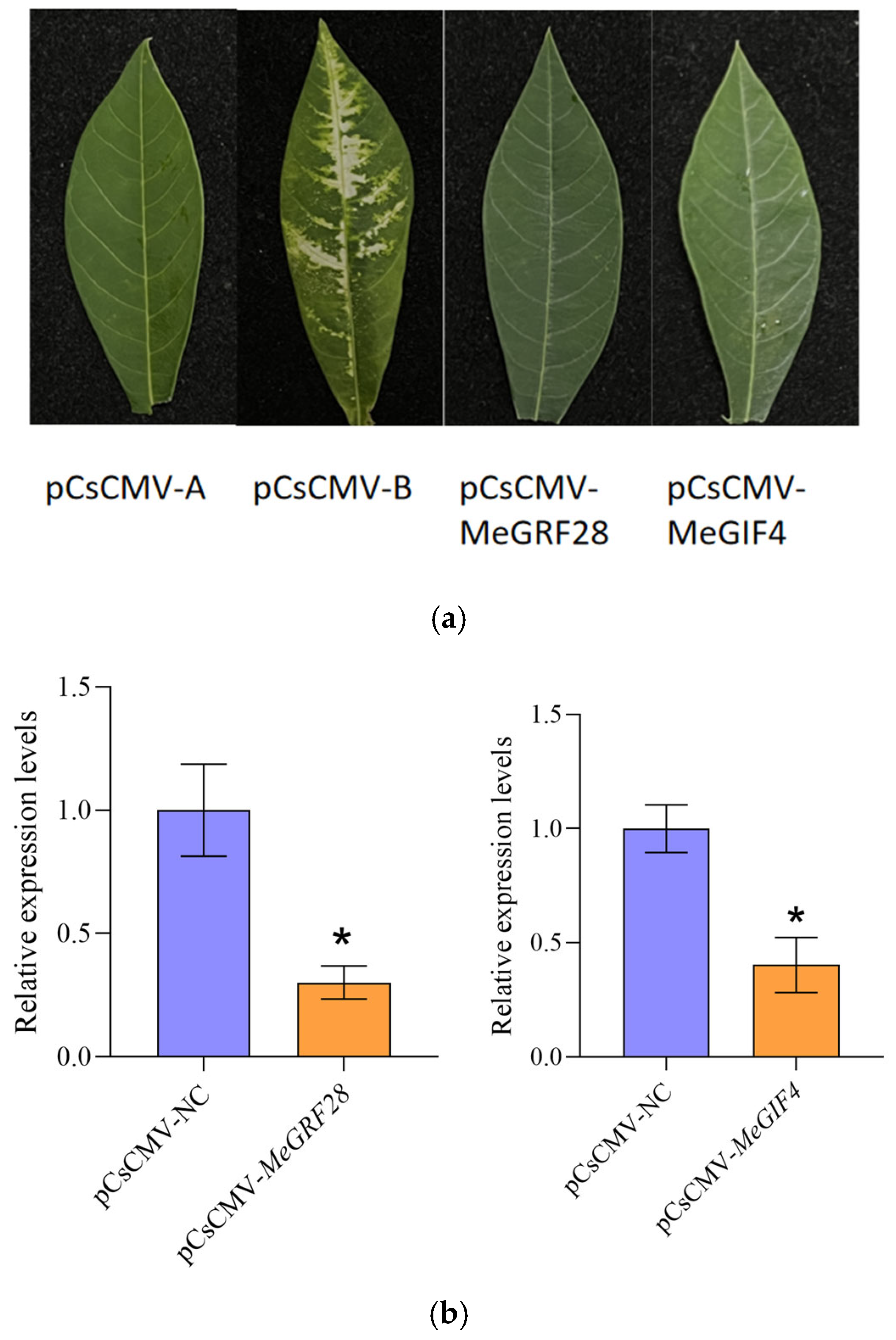 Horticulturae 11 01046 g015