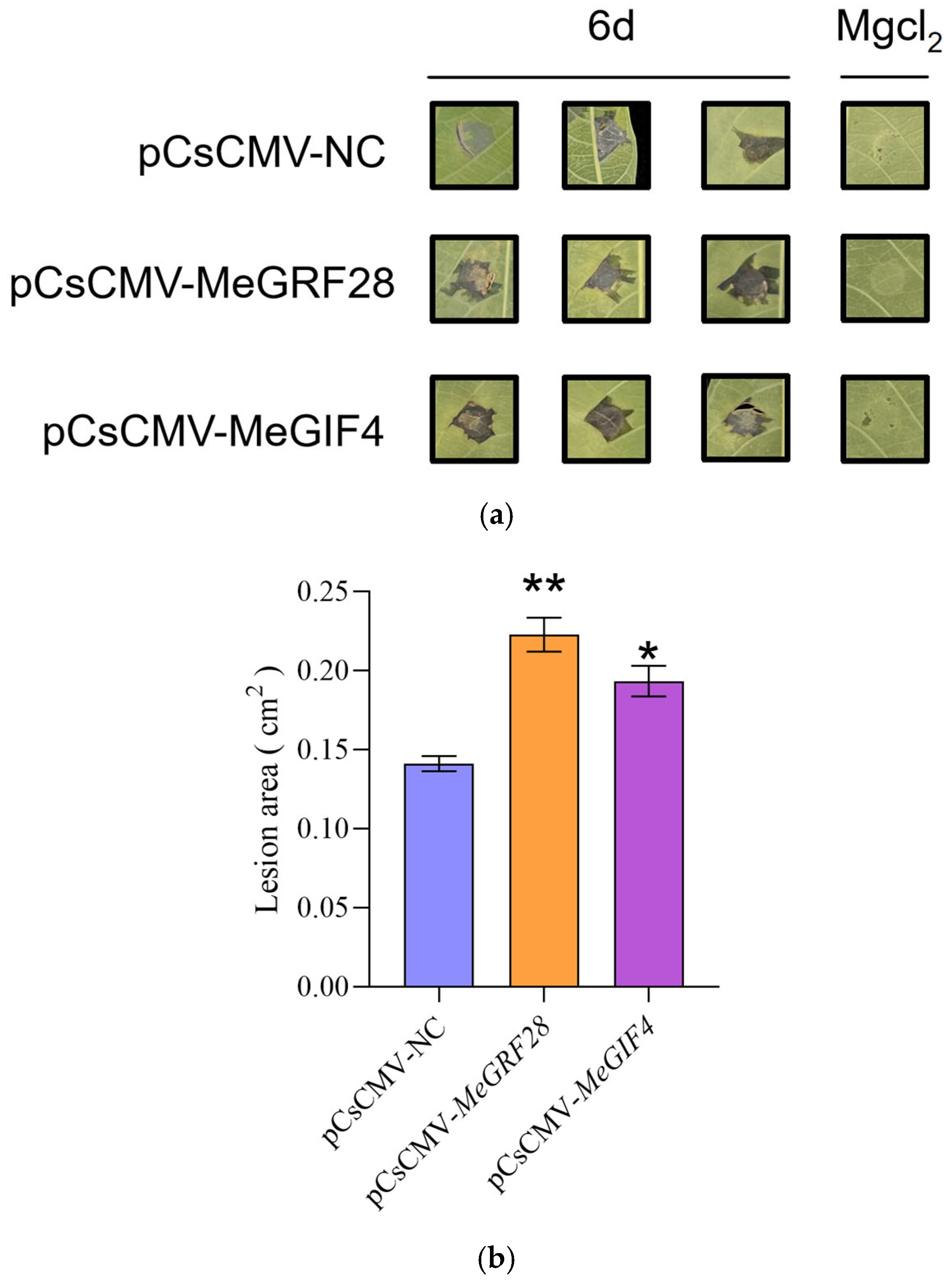 Horticulturae 11 01046 g016