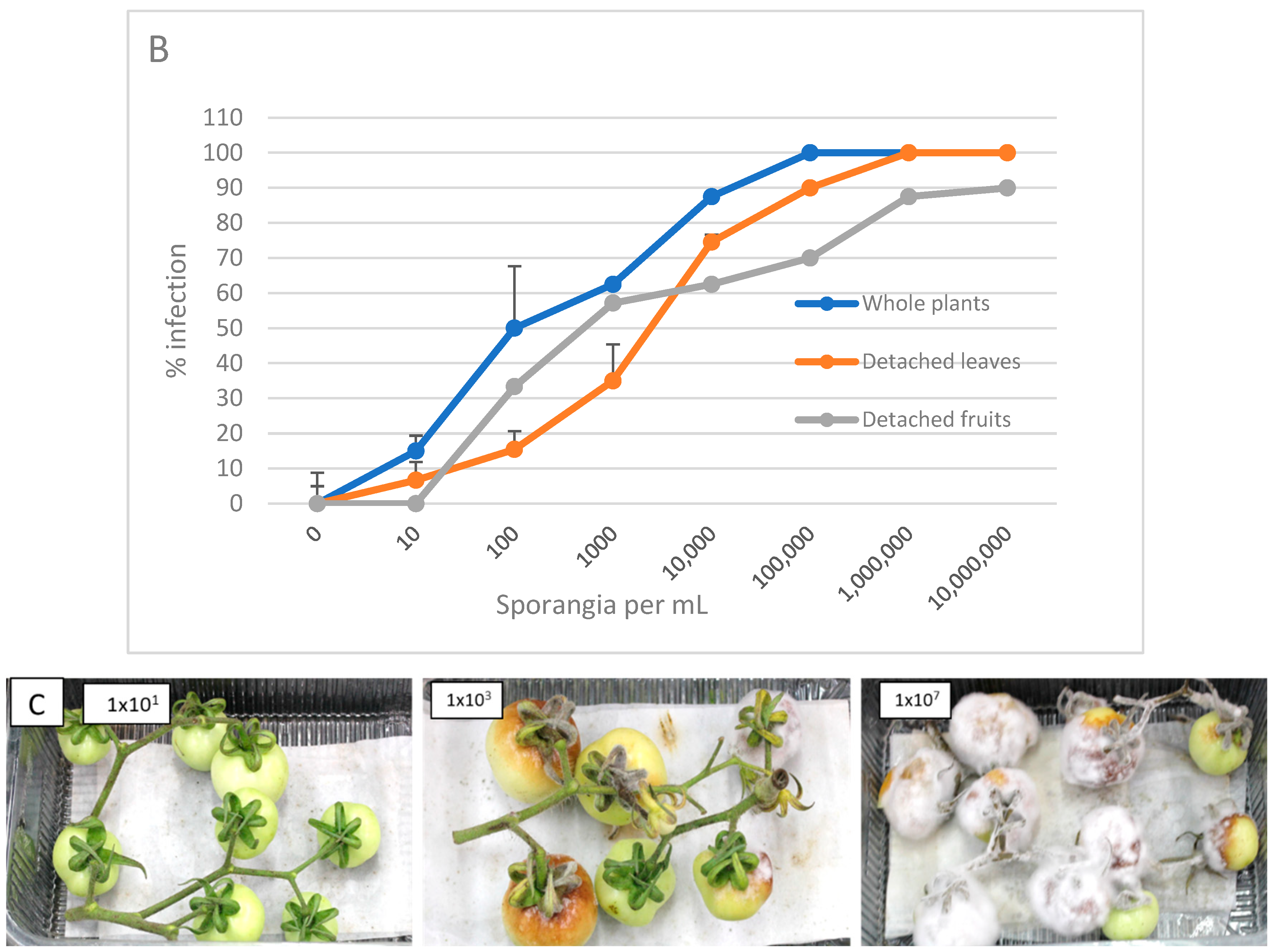 Horticulturae 11 01050 g001b Horticulturae 11 01050 g001b