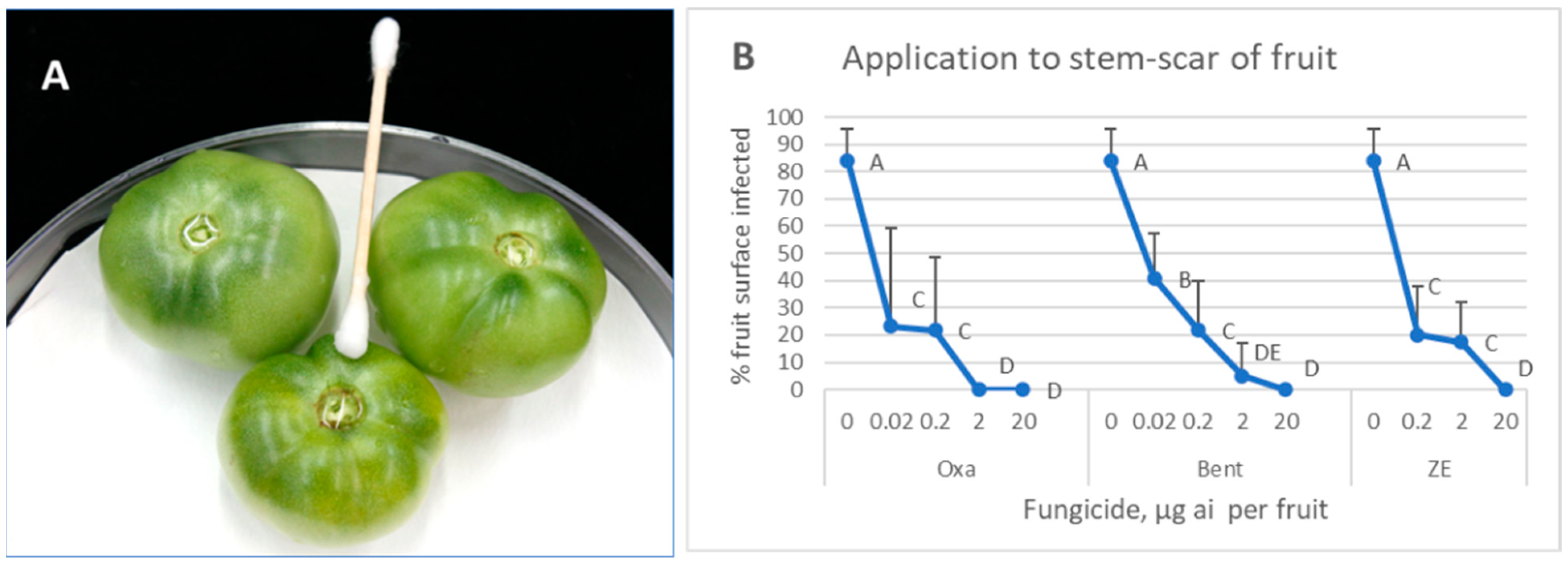 Horticulturae 11 01050 g003 Horticulturae 11 01050 g003
