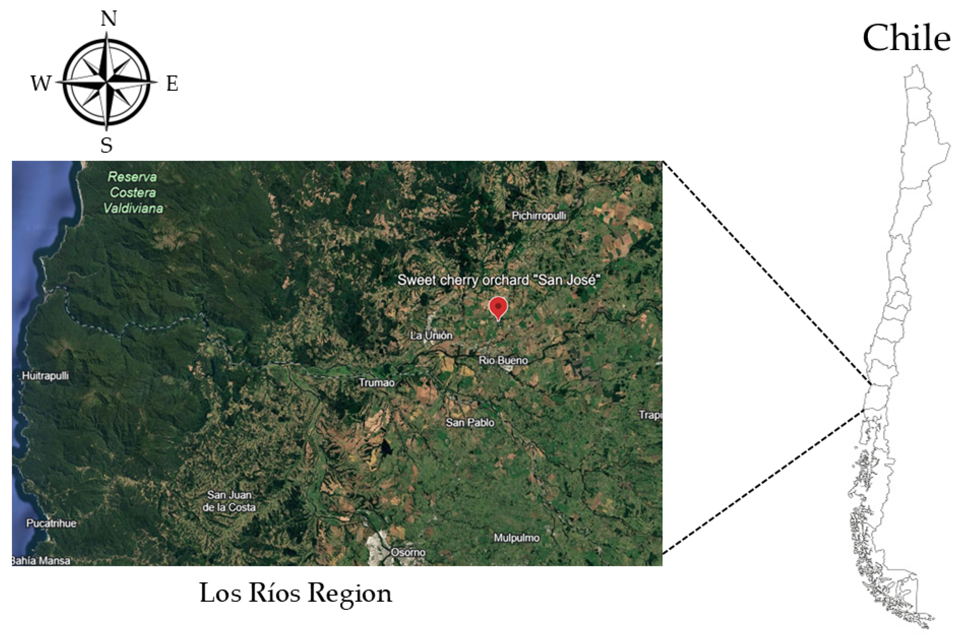 Horticulturae 11 01052 g001