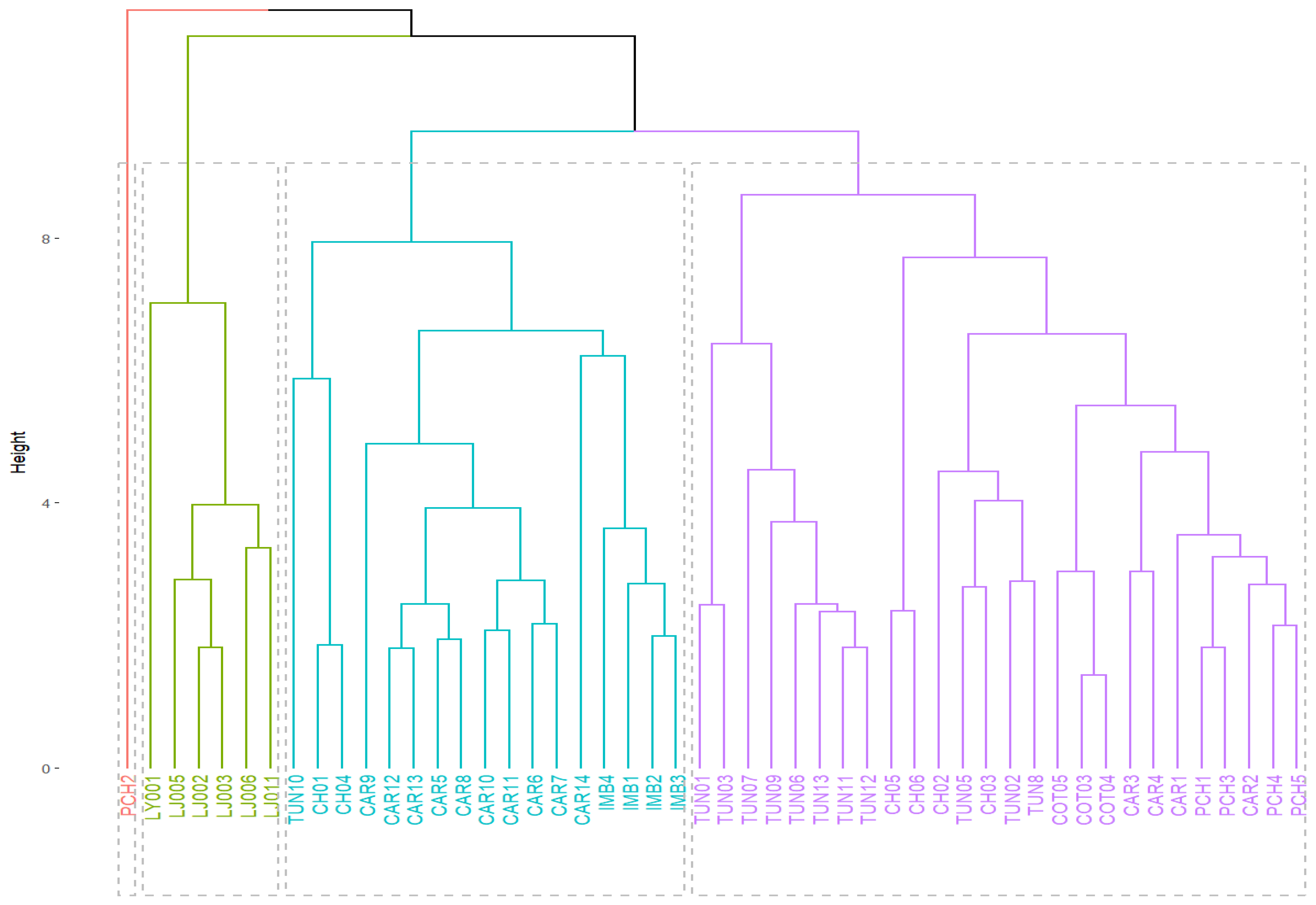 Horticulturae 11 01058 g006