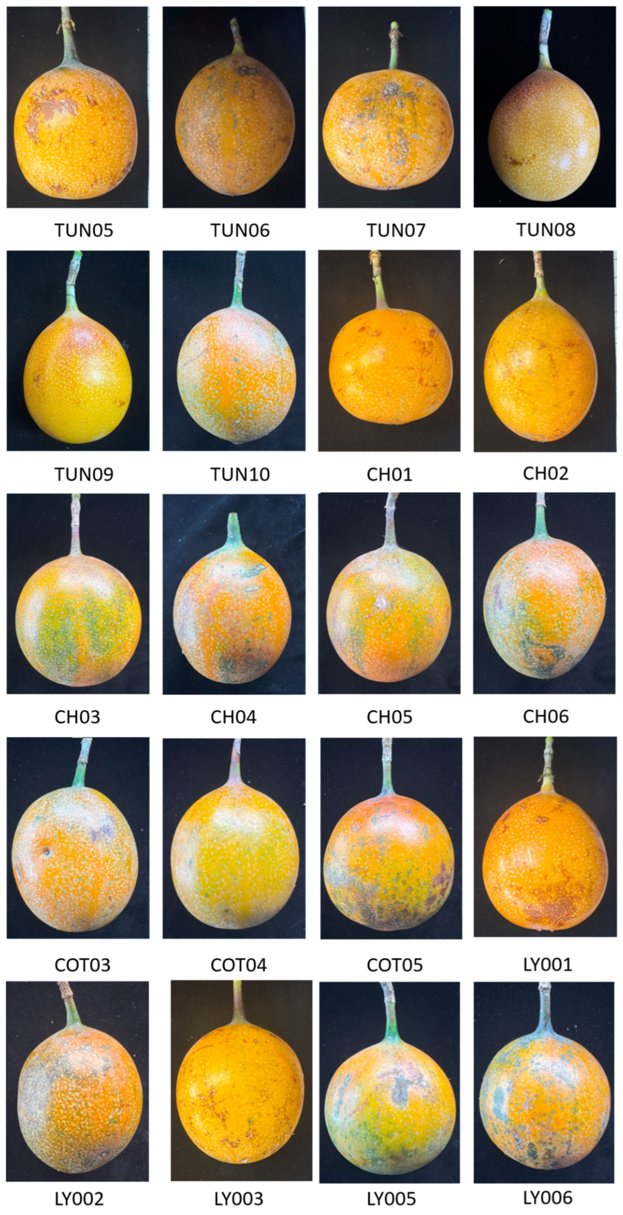 Horticulturae 11 01058 g0a1b