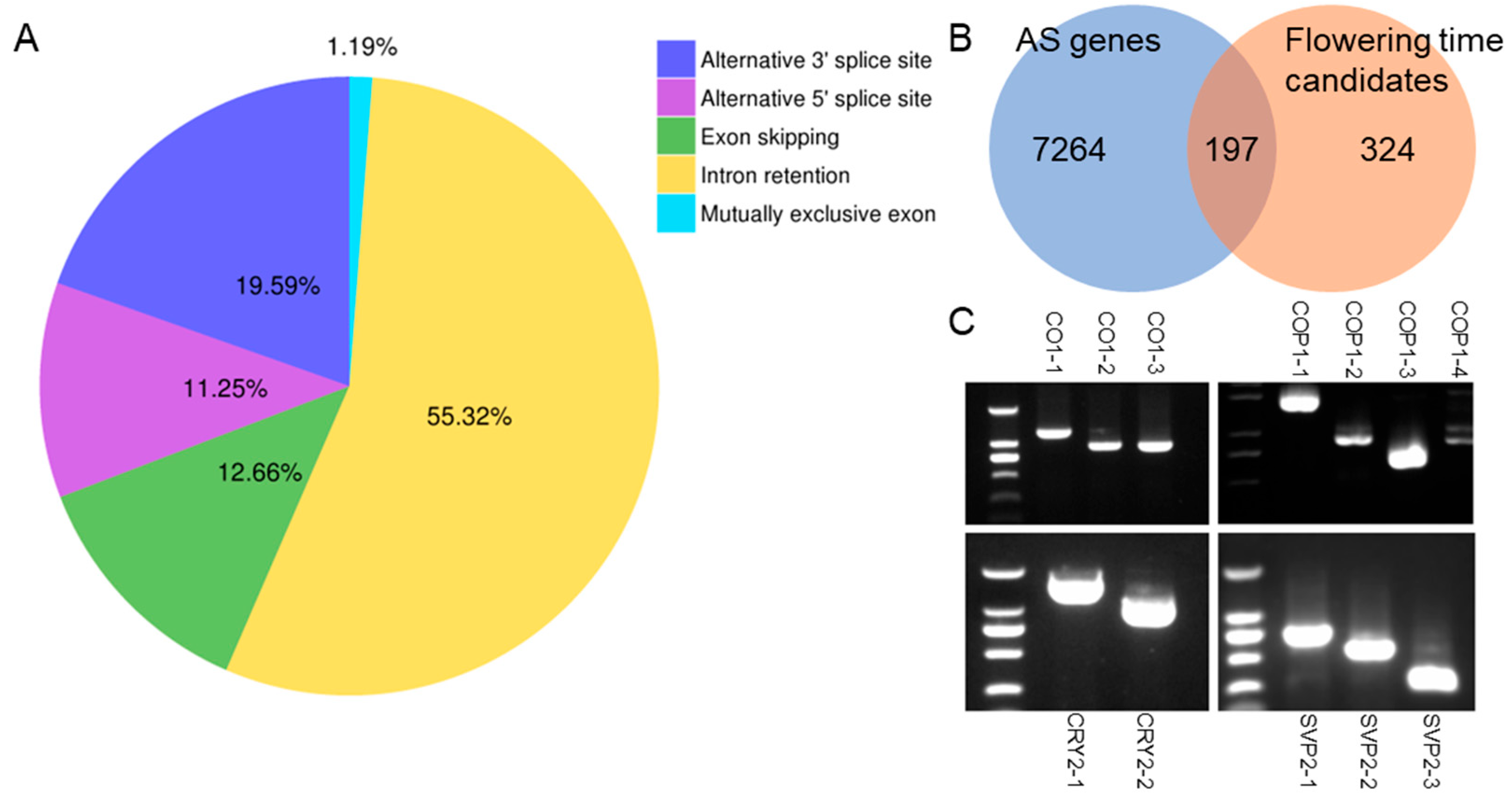 Horticulturae 11 01064 g001 Horticulturae 11 01064 g001