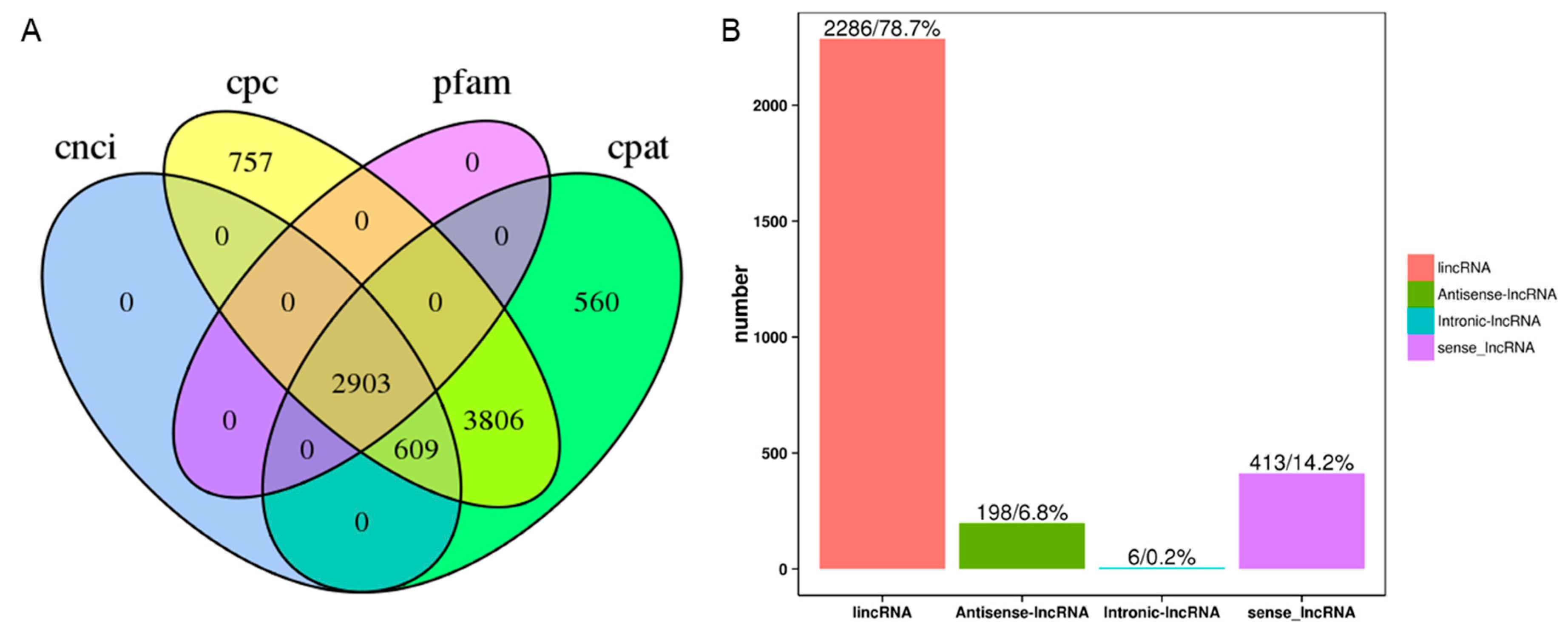 Horticulturae 11 01064 g002 Horticulturae 11 01064 g002