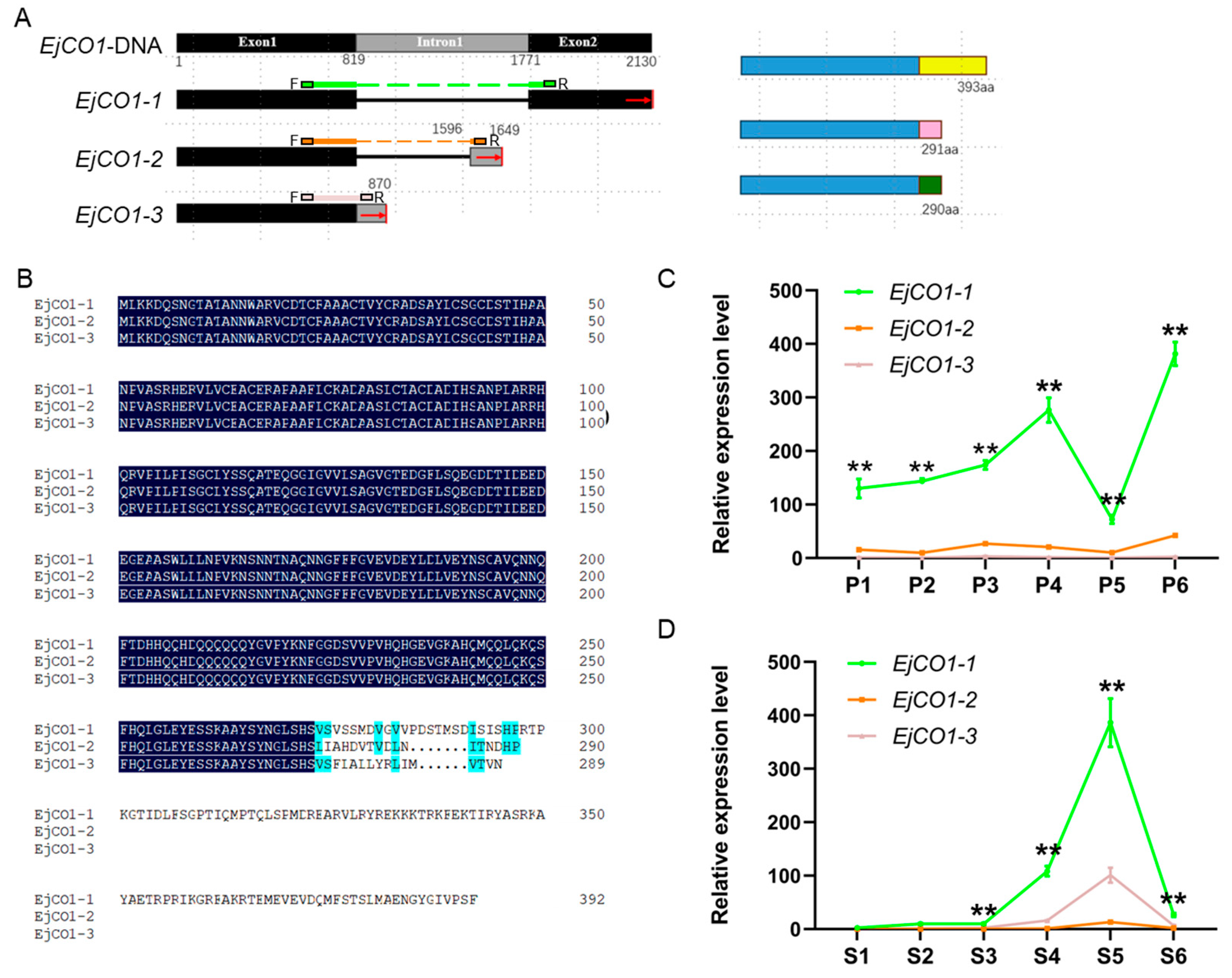 Horticulturae 11 01064 g003 Horticulturae 11 01064 g003