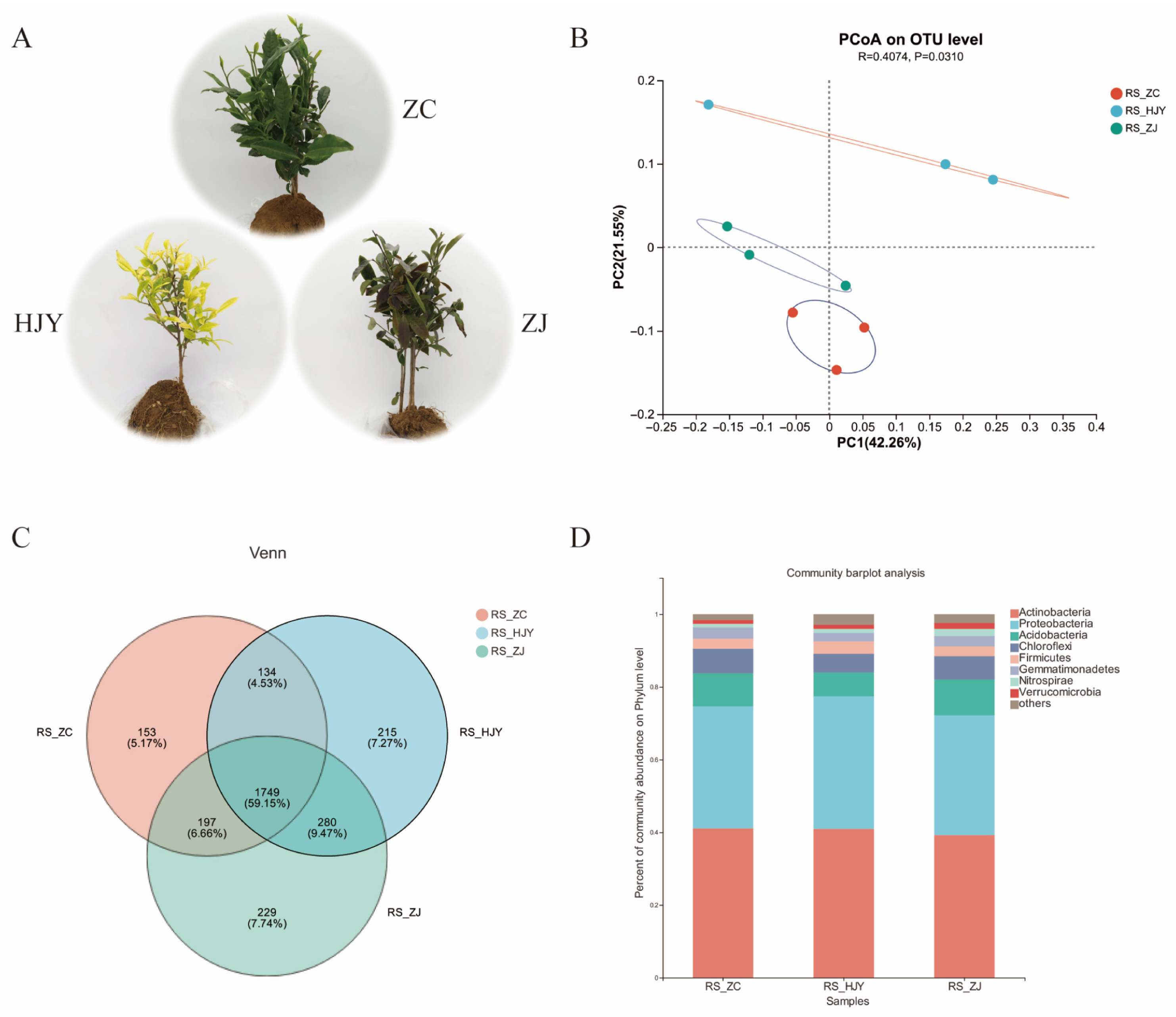 Horticulturae 11 01072 g001 Horticulturae 11 01072 g001