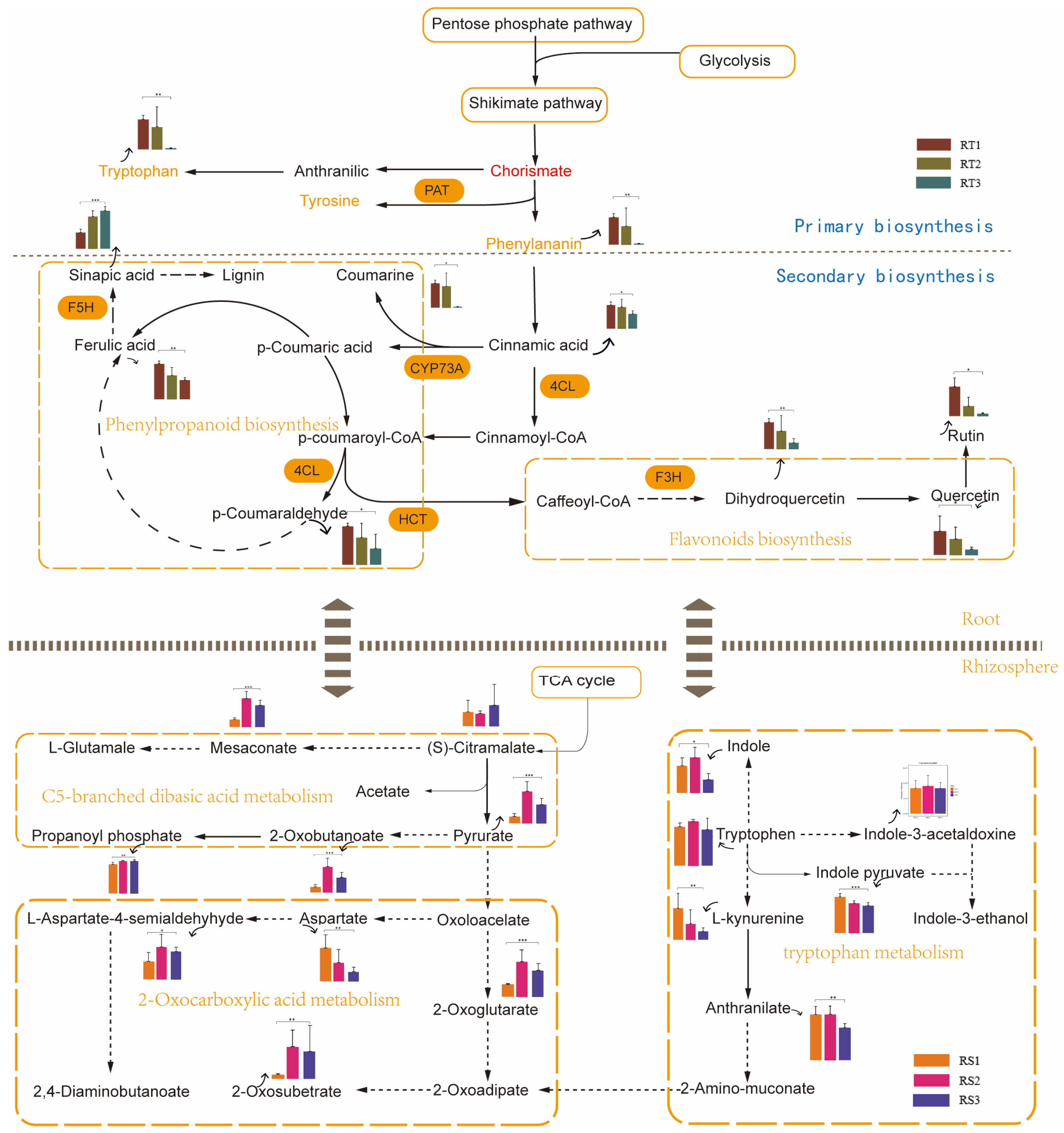 Horticulturae 11 01072 g005 Horticulturae 11 01072 g005