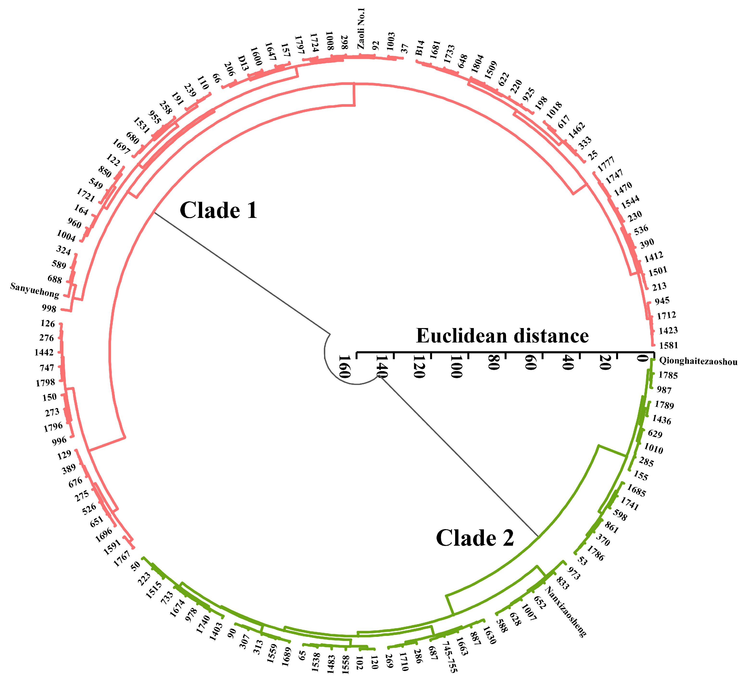 Horticulturae 11 01079 g004 Horticulturae 11 01079 g004