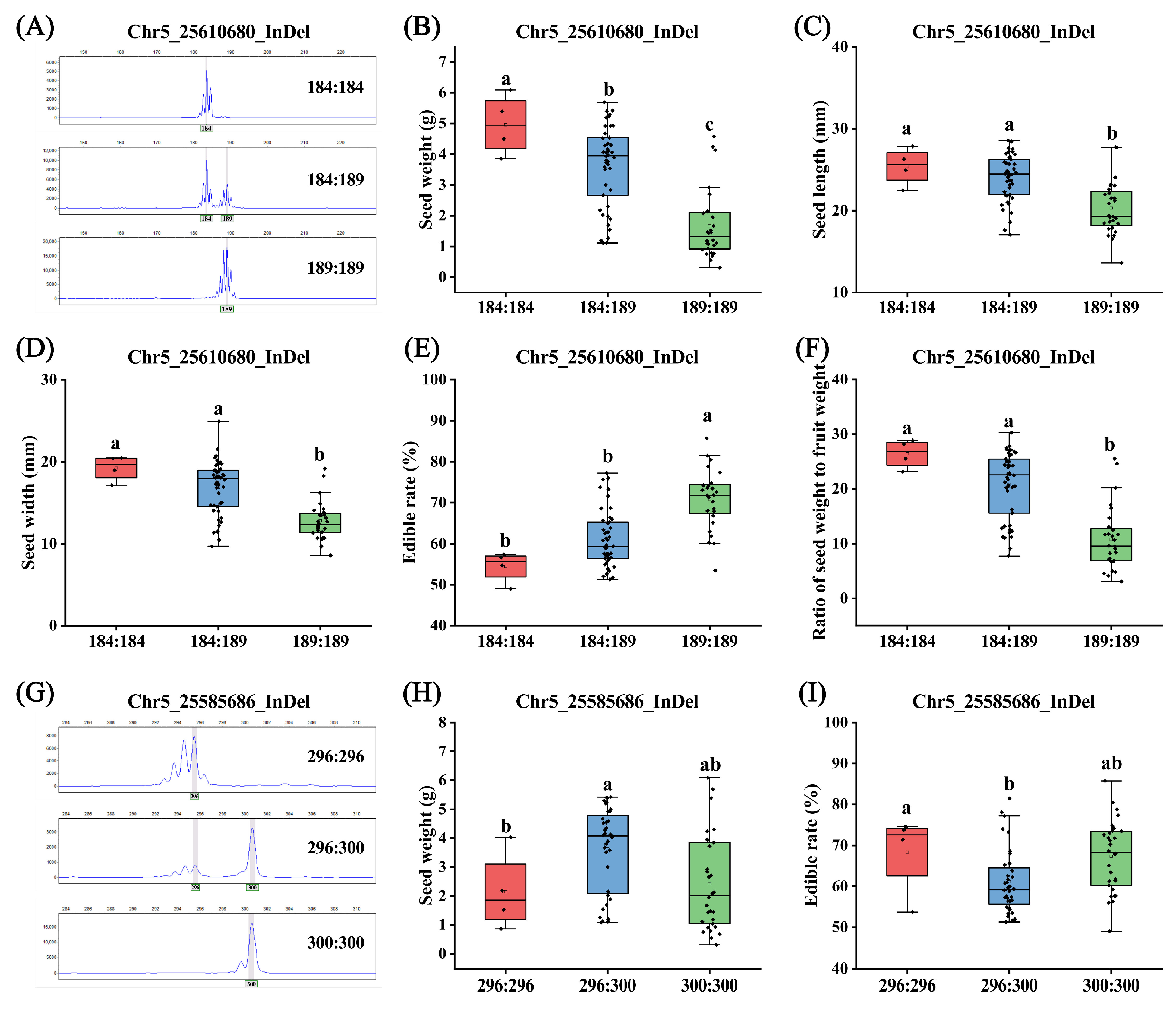 Horticulturae 11 01079 g008 Horticulturae 11 01079 g008