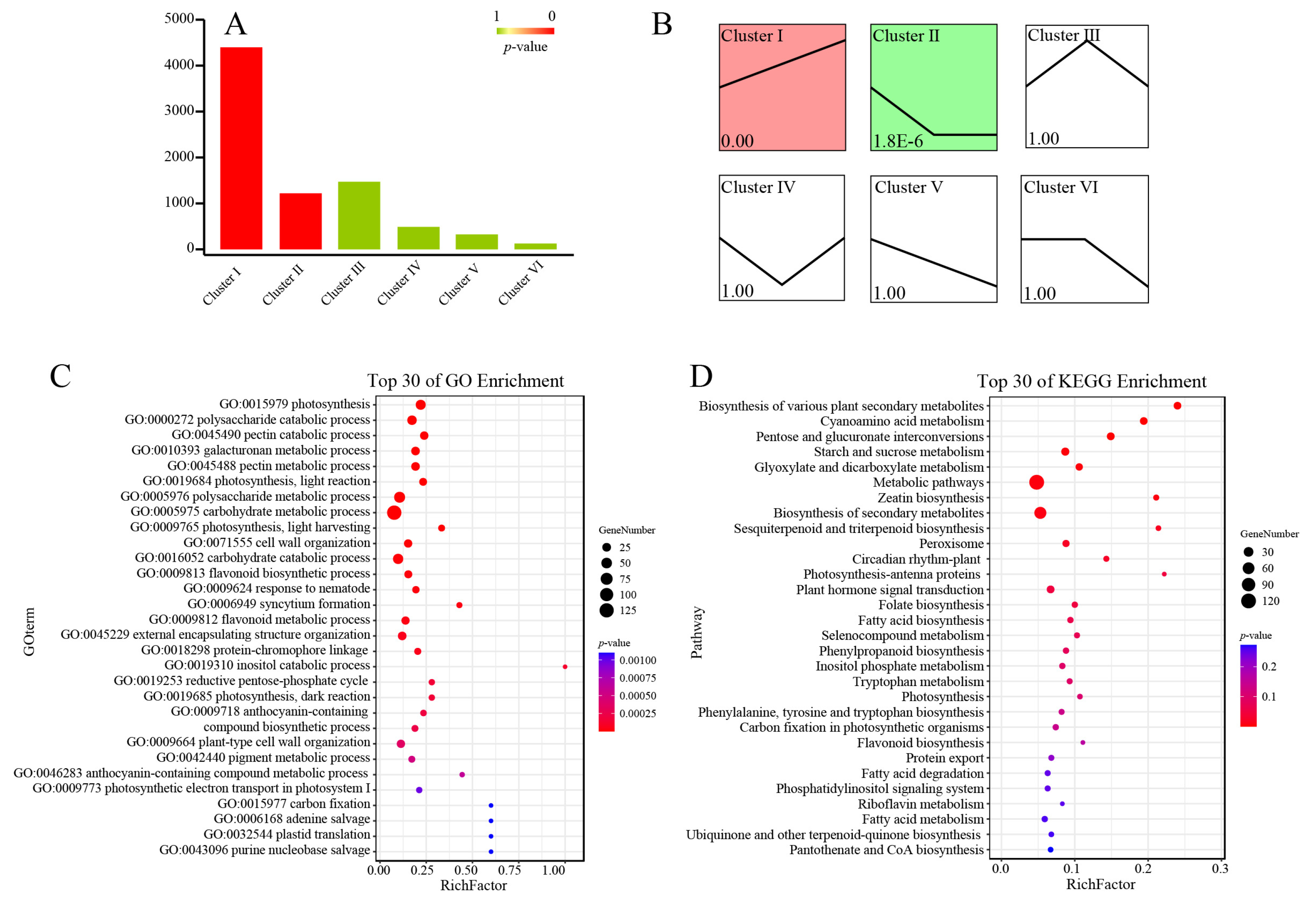 Horticulturae 11 01082 g003 Horticulturae 11 01082 g003