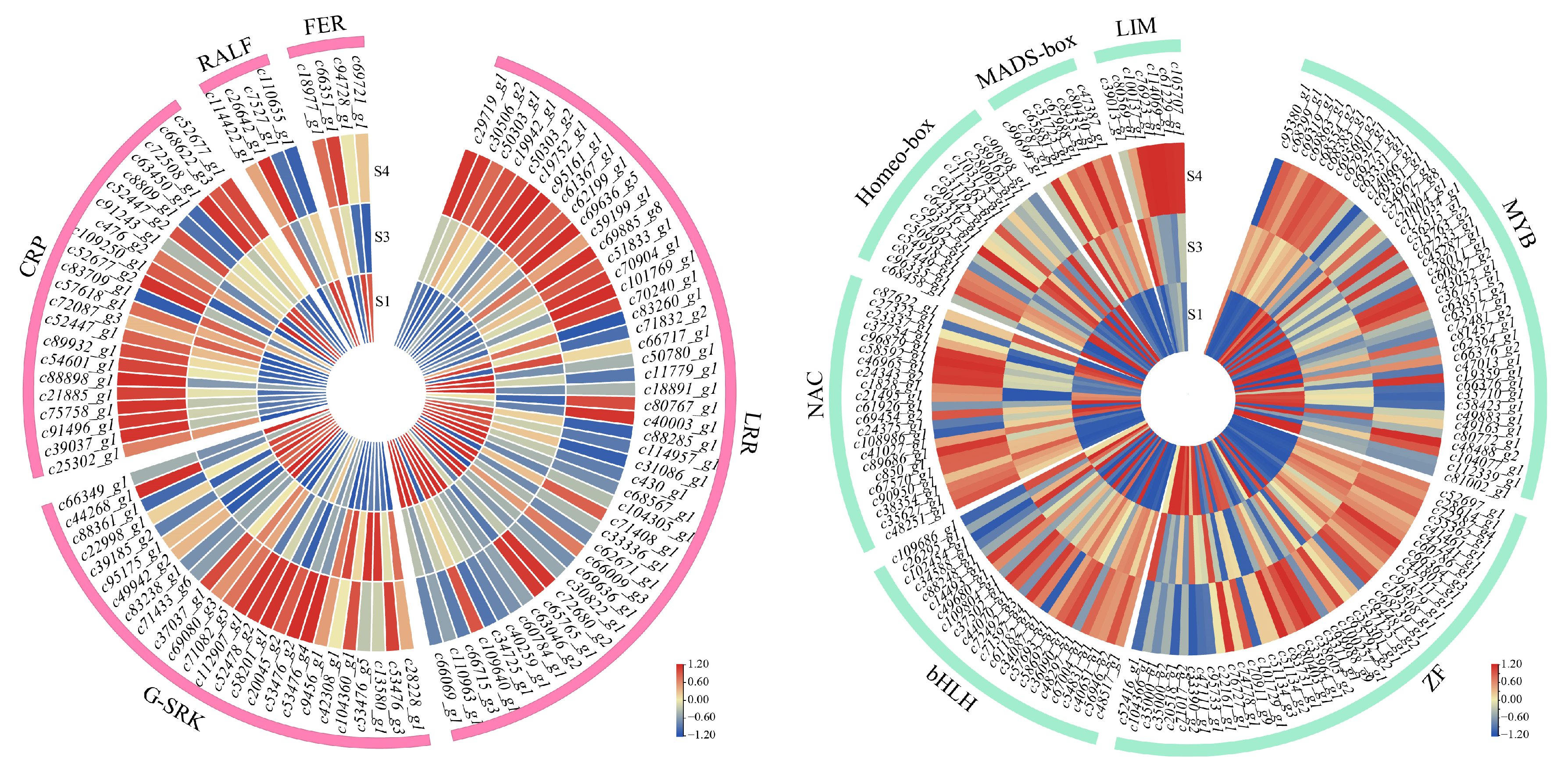 Horticulturae 11 01082 g004 Horticulturae 11 01082 g004