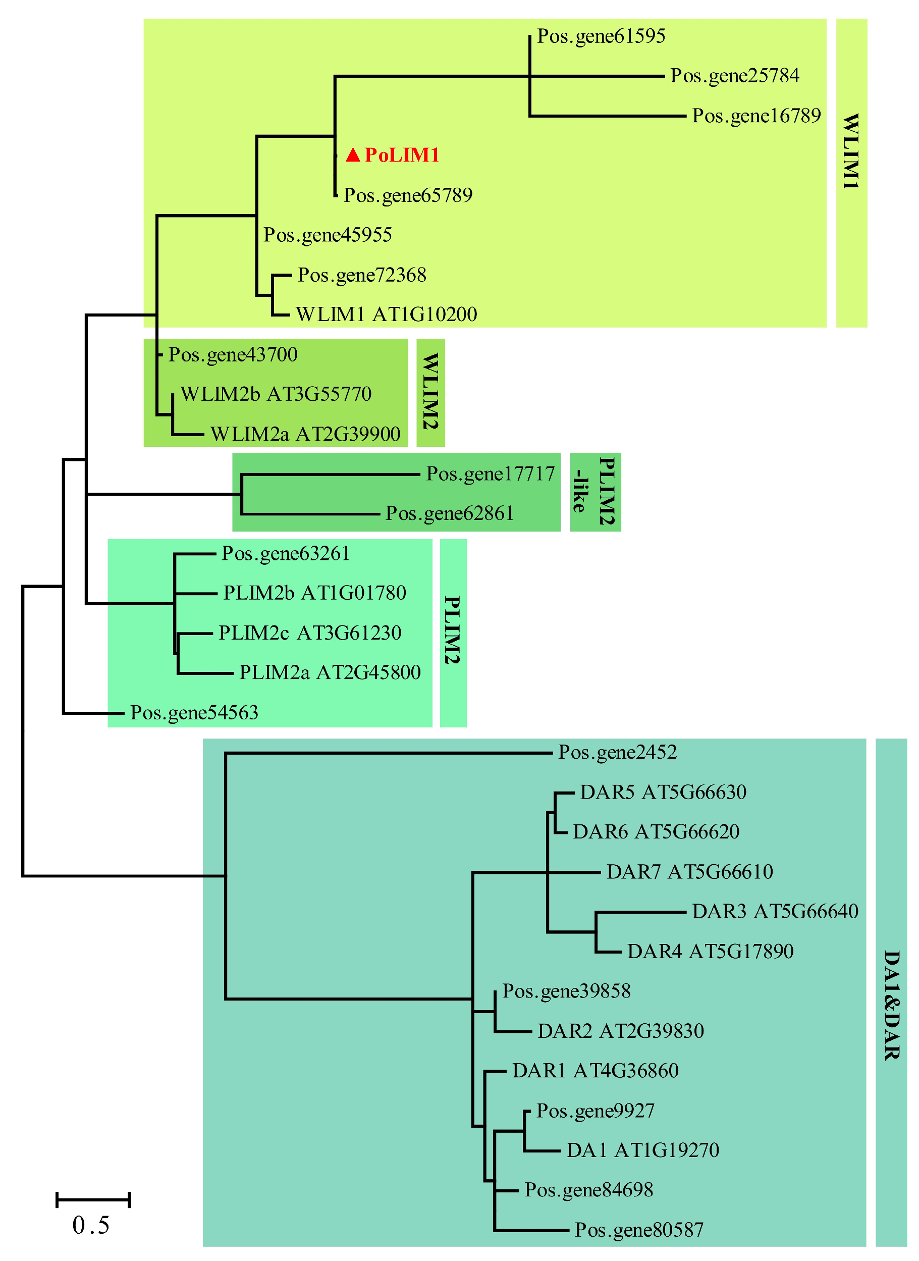 Horticulturae 11 01082 g007 Horticulturae 11 01082 g007