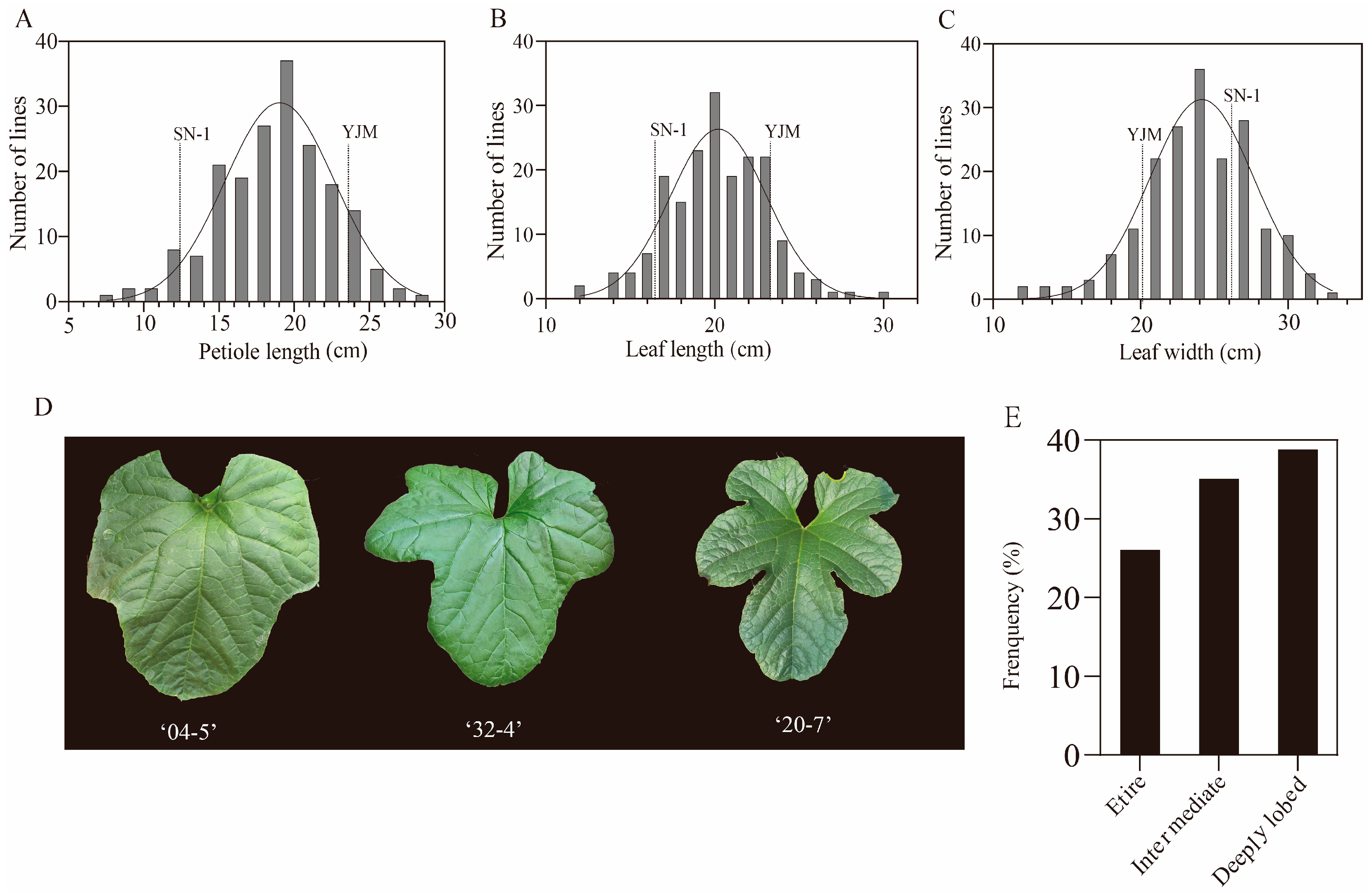 Horticulturae 11 01087 g001 Horticulturae 11 01087 g001