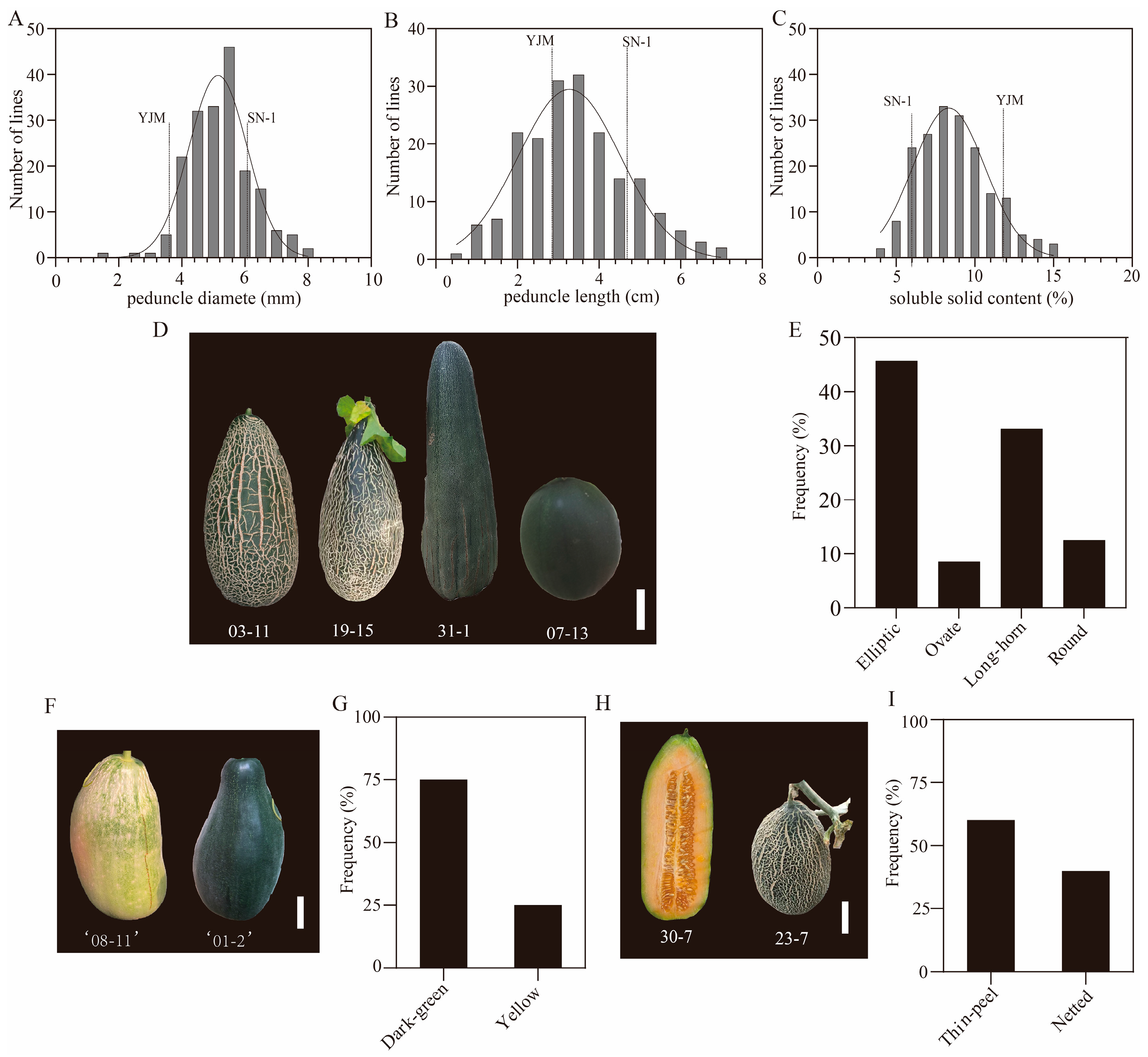 Horticulturae 11 01087 g004 Horticulturae 11 01087 g004