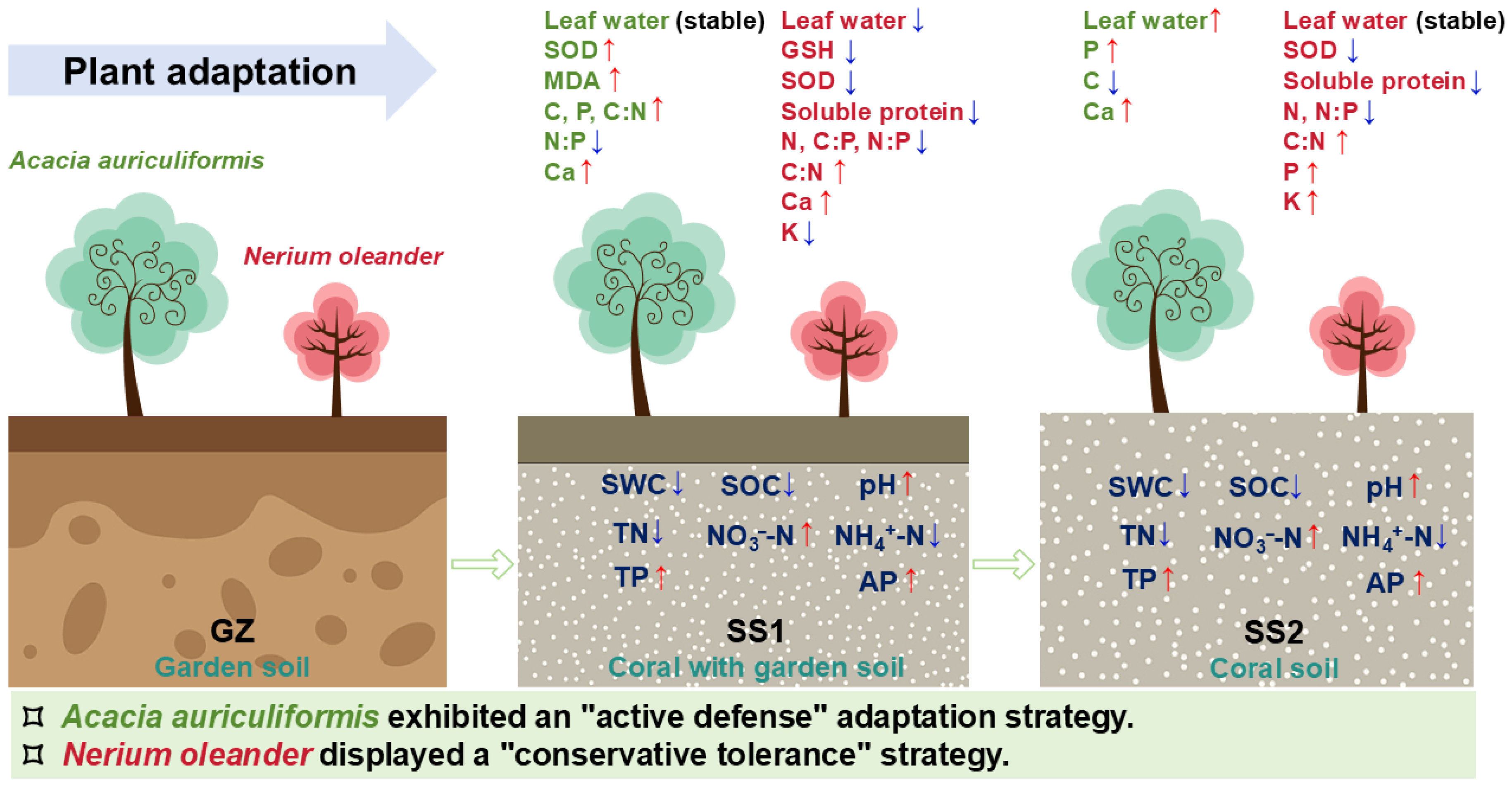 Horticulturae 11 01094 g007