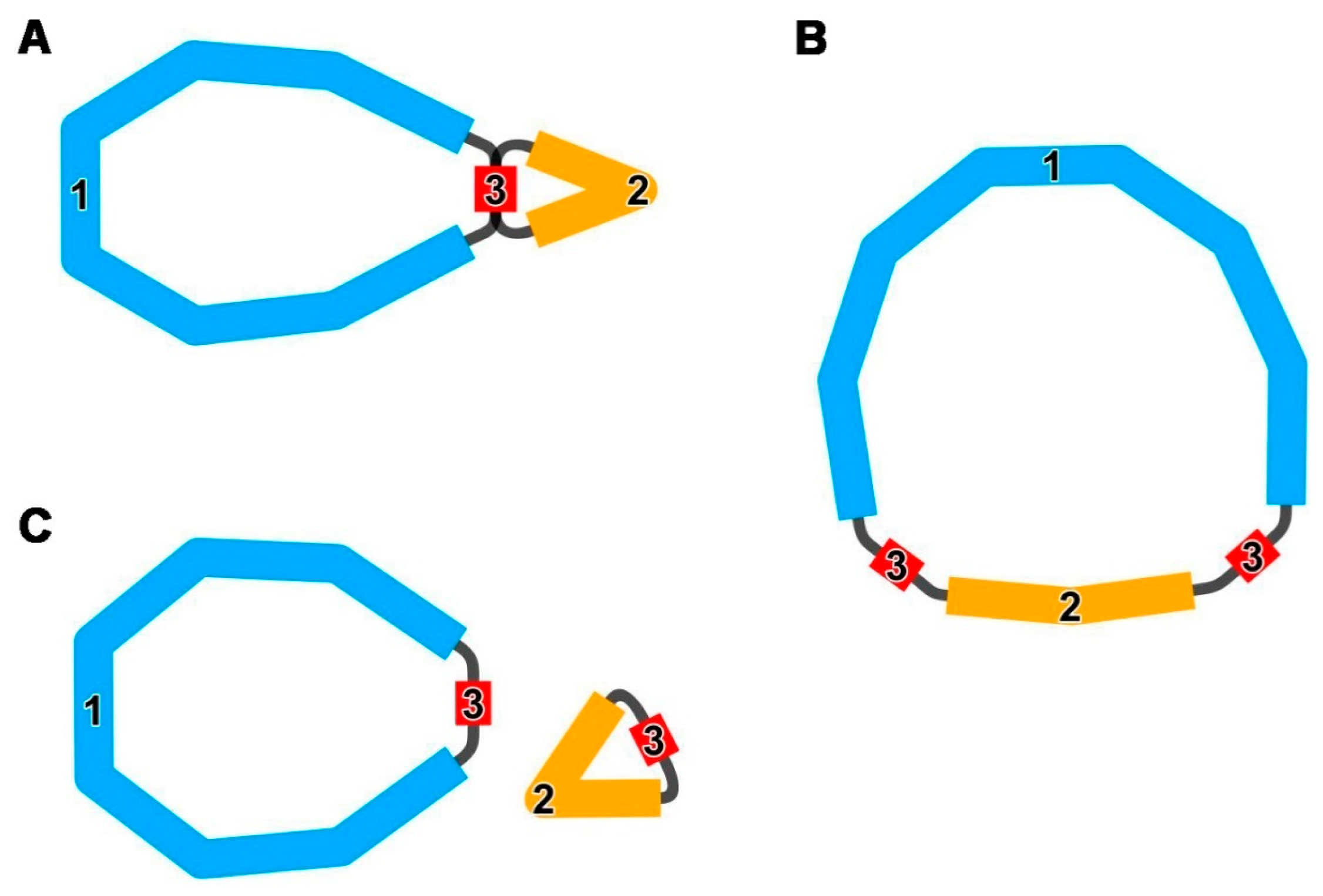 Horticulturae 11 01095 g001