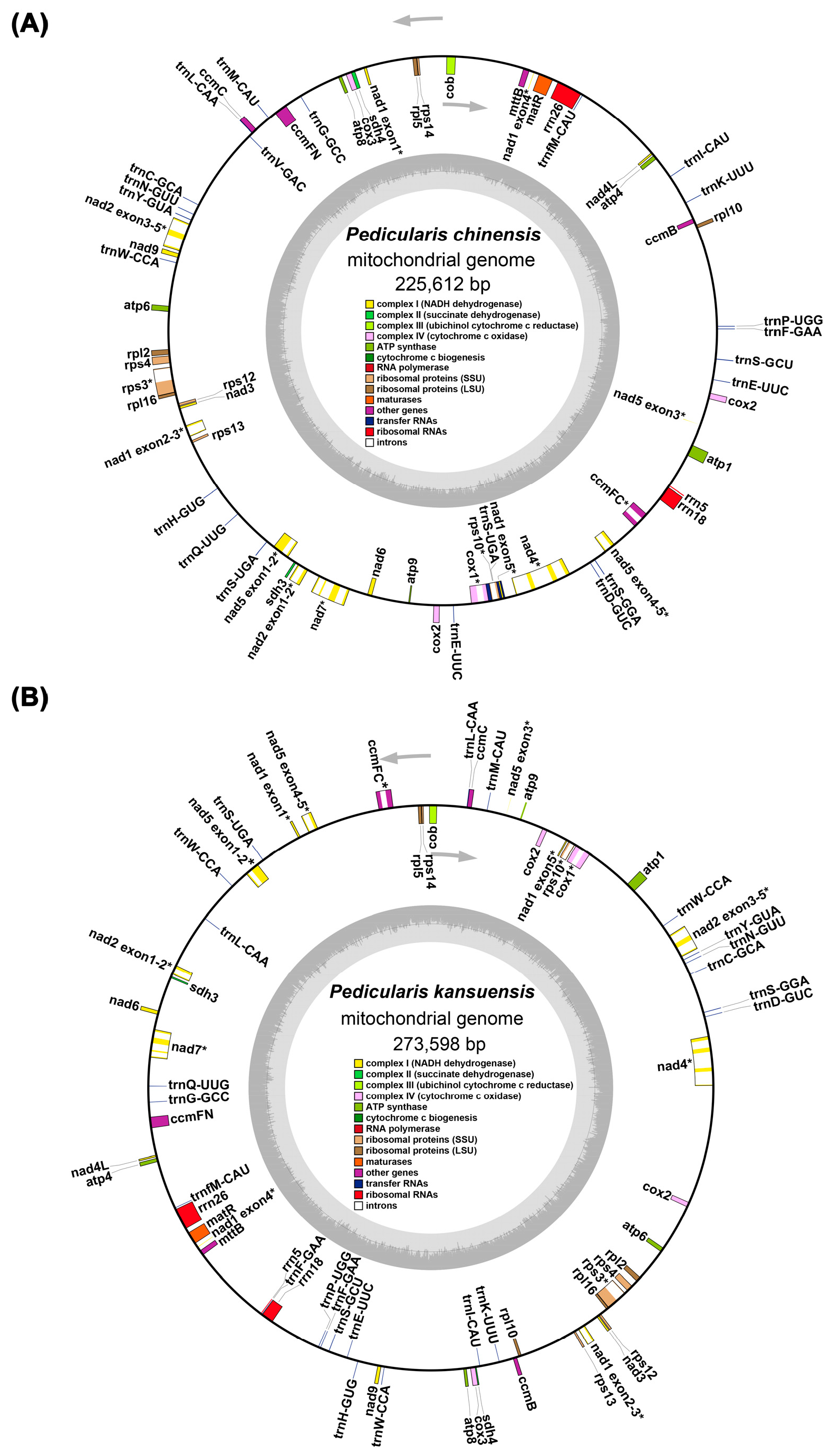 Horticulturae 11 01095 g002