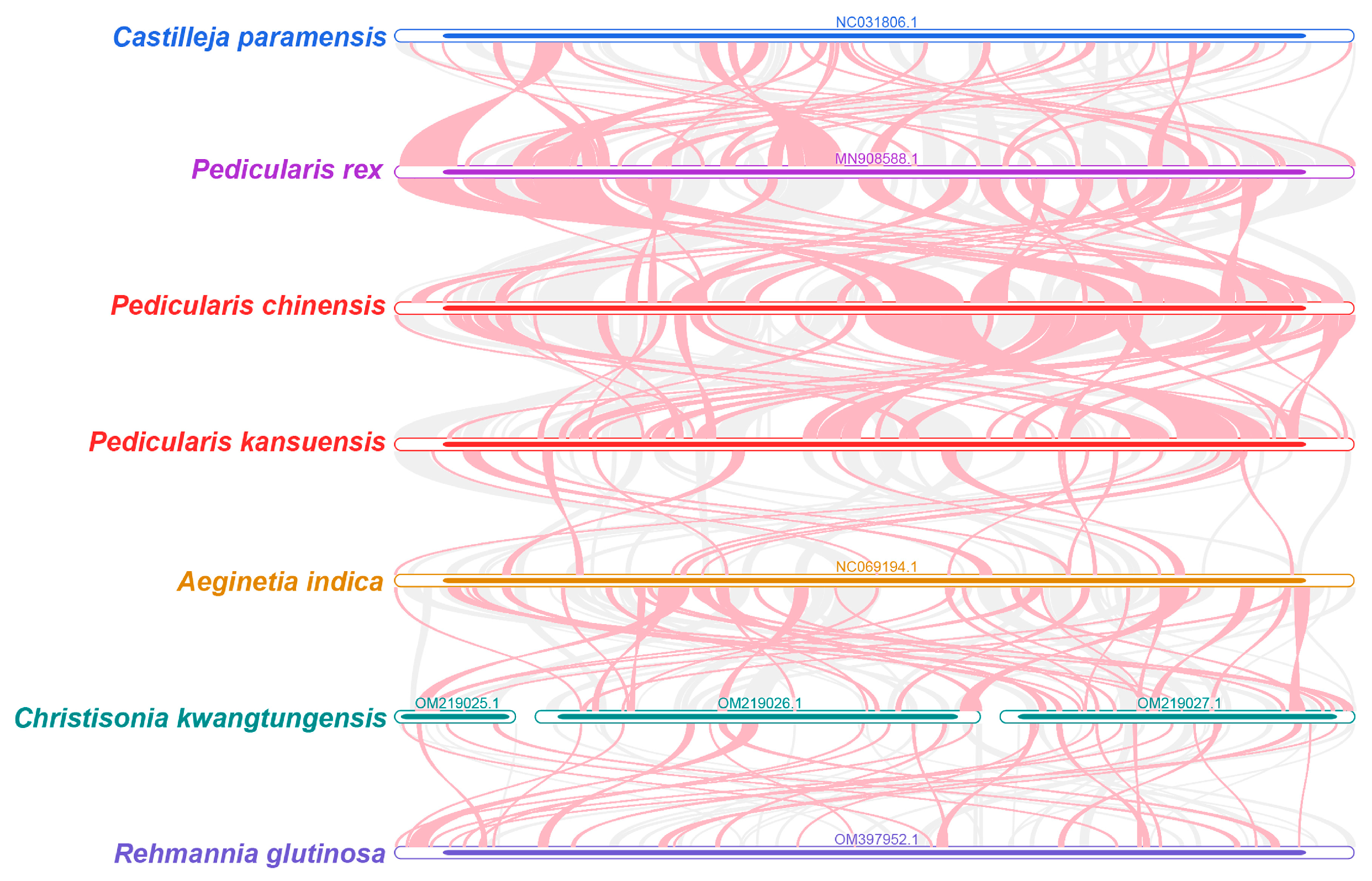 Horticulturae 11 01095 g005