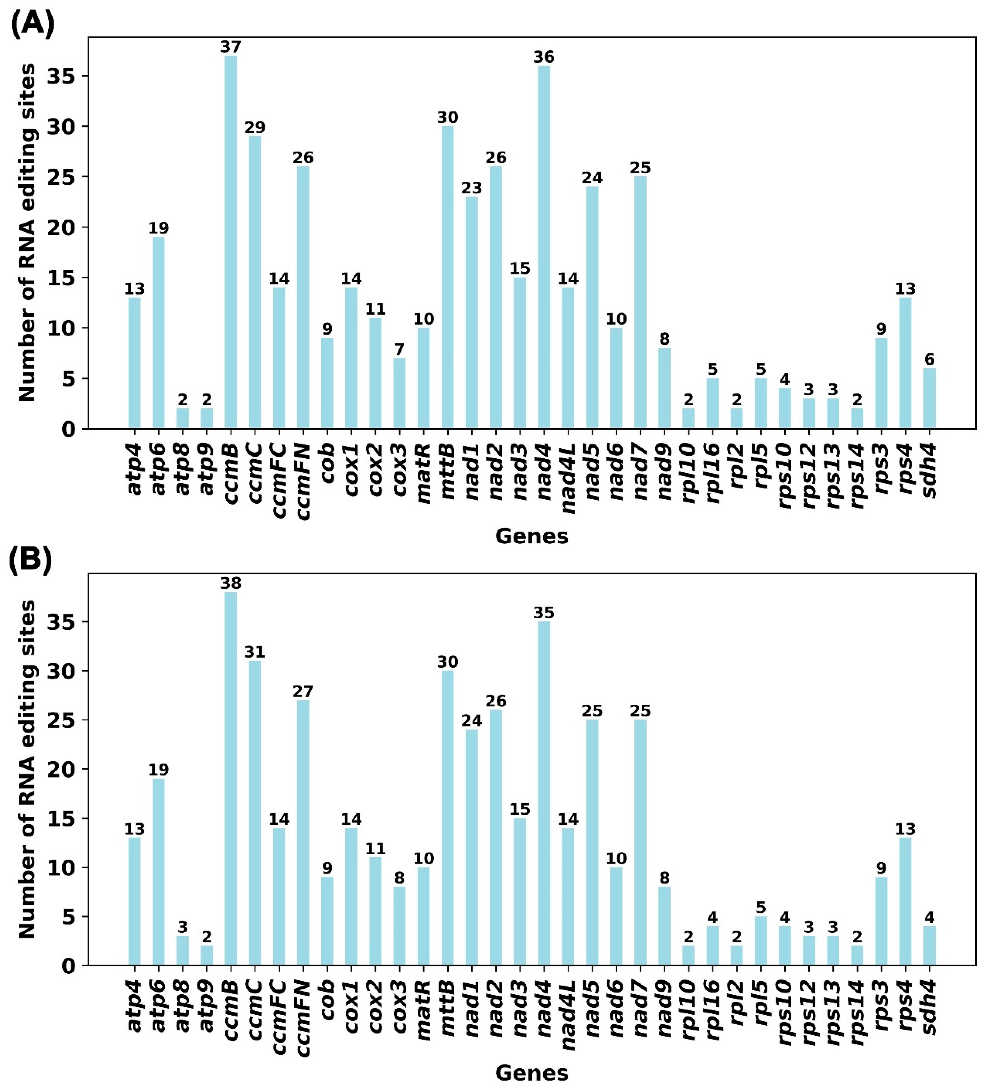 Horticulturae 11 01095 g006