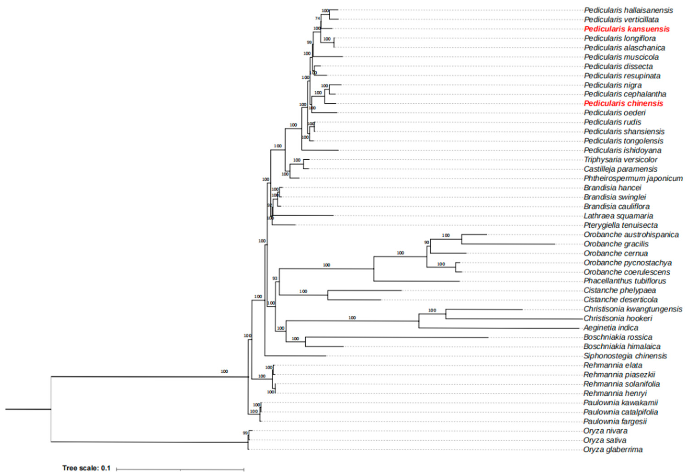 Horticulturae 11 01095 g007
