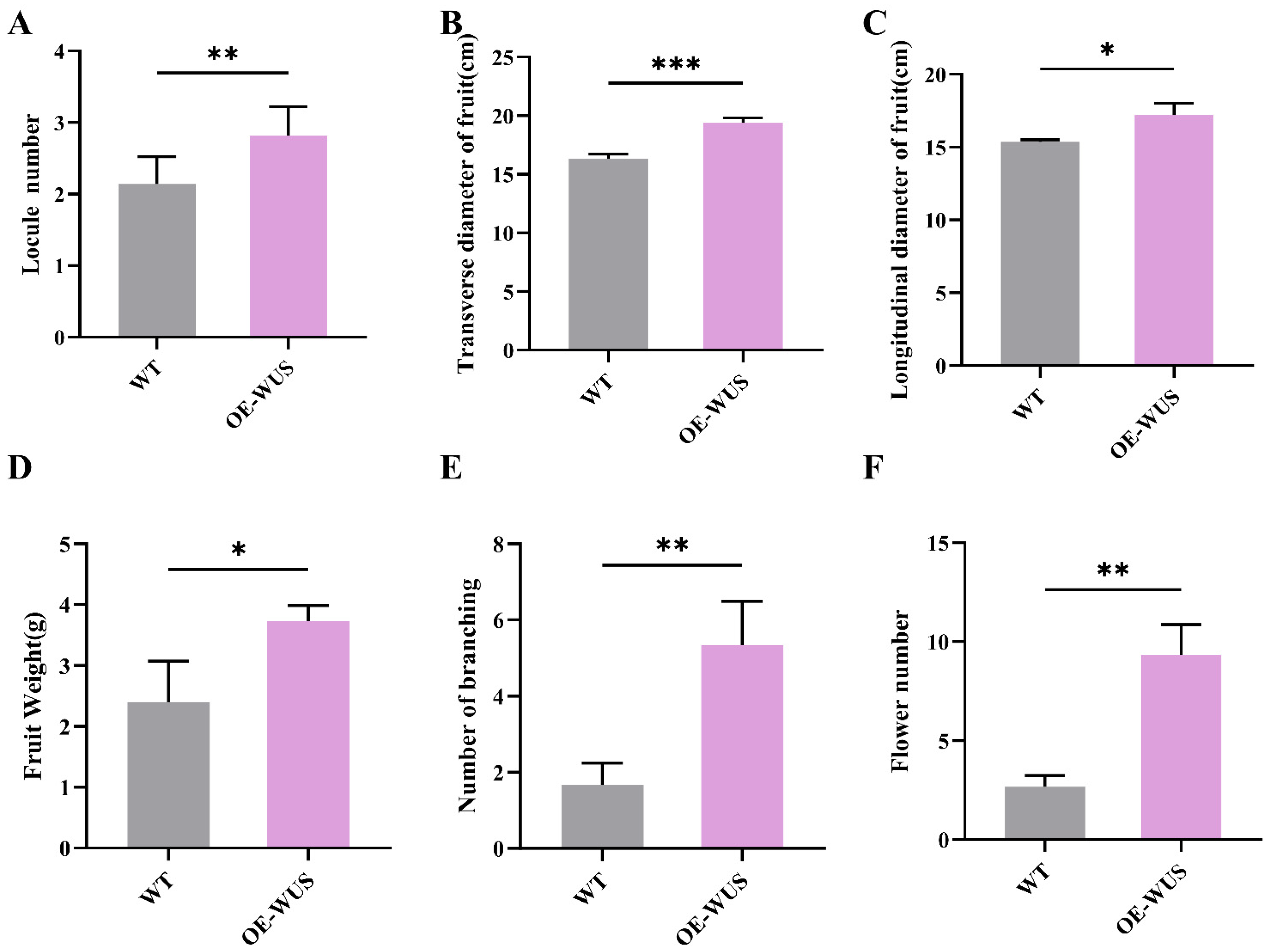 Horticulturae 11 01099 g005 Horticulturae 11 01099 g005