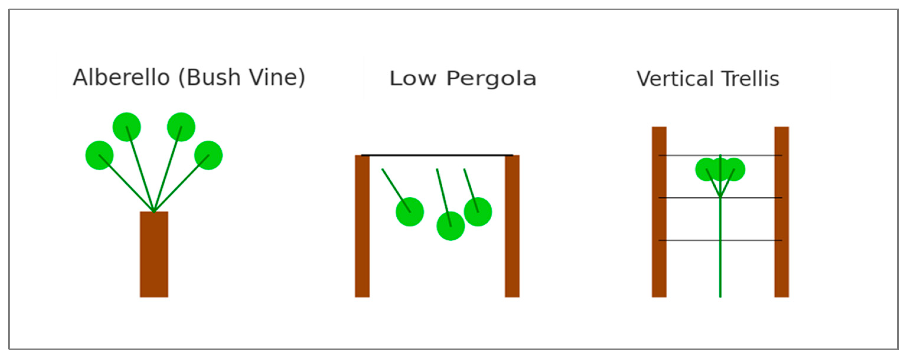 Horticulturae 11 01104 g004 Horticulturae 11 01104 g004