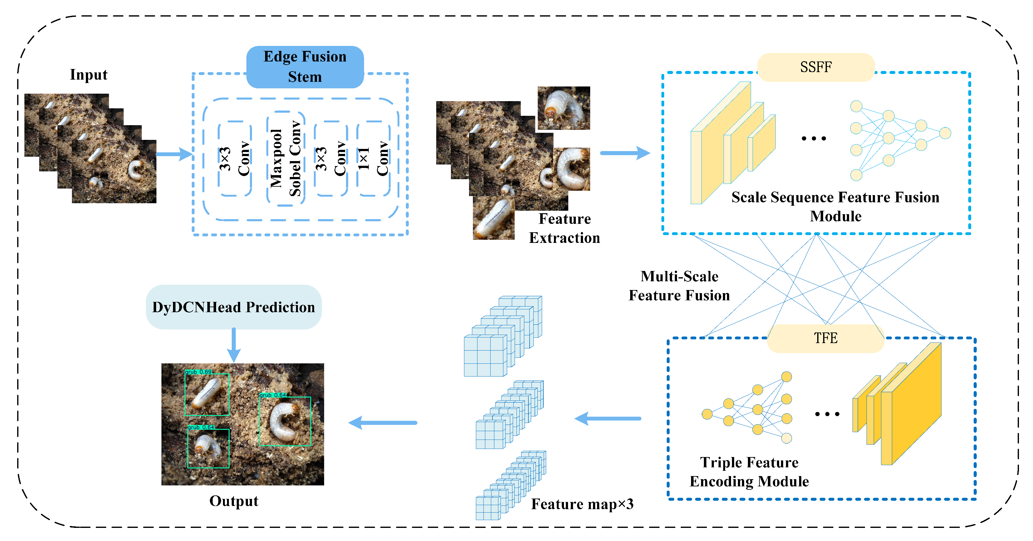 Horticulturae 11 01109 g003 Horticulturae 11 01109 g003