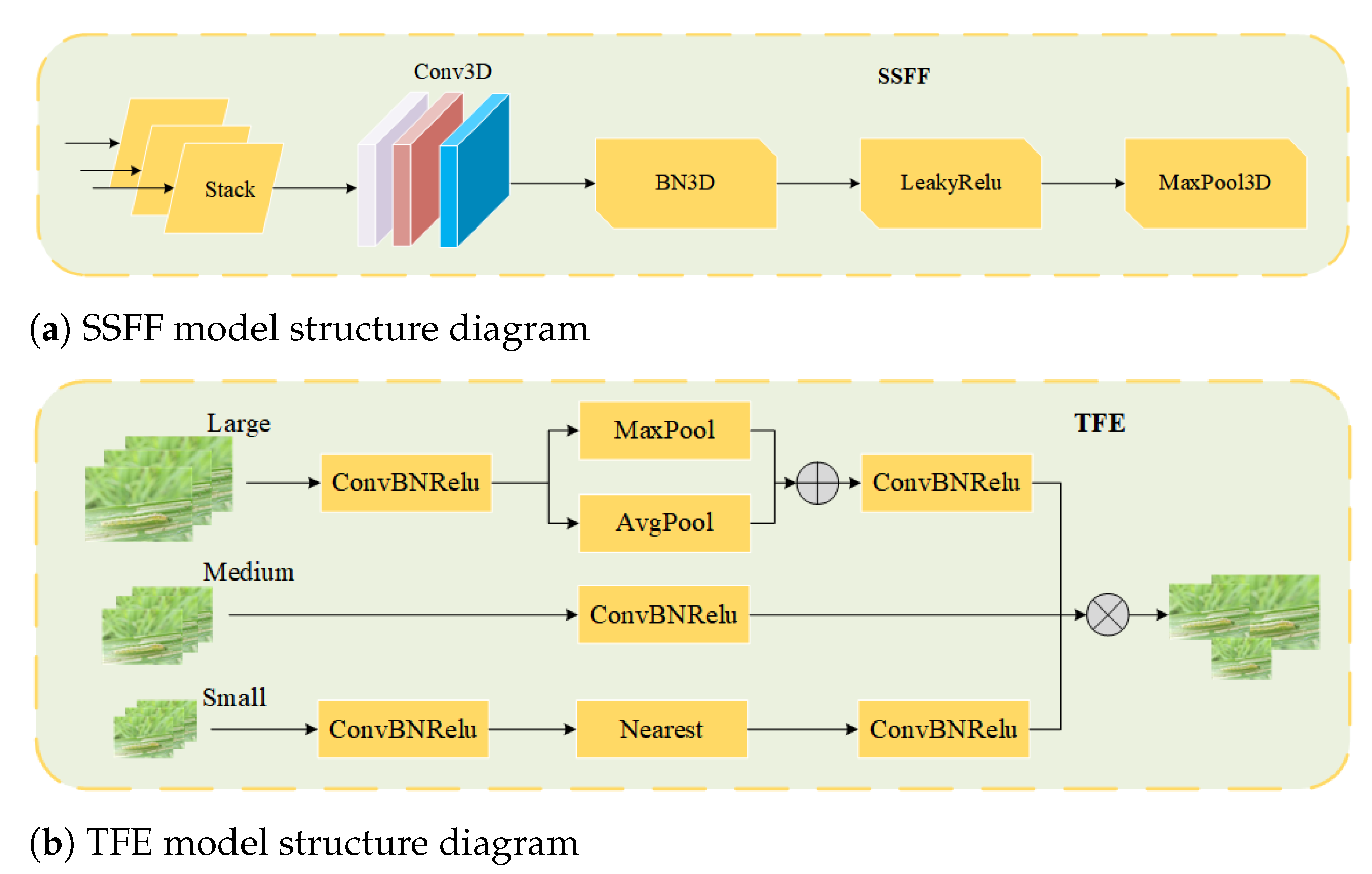 Horticulturae 11 01109 g004 Horticulturae 11 01109 g004