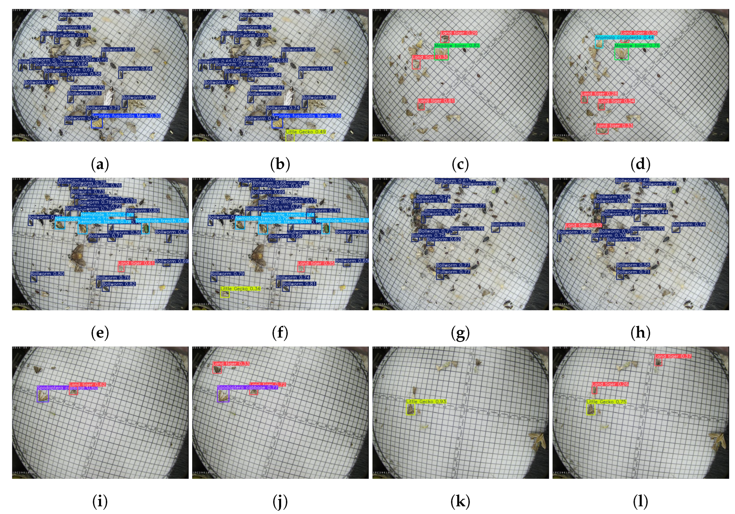 Horticulturae 11 01109 g010 Horticulturae 11 01109 g010